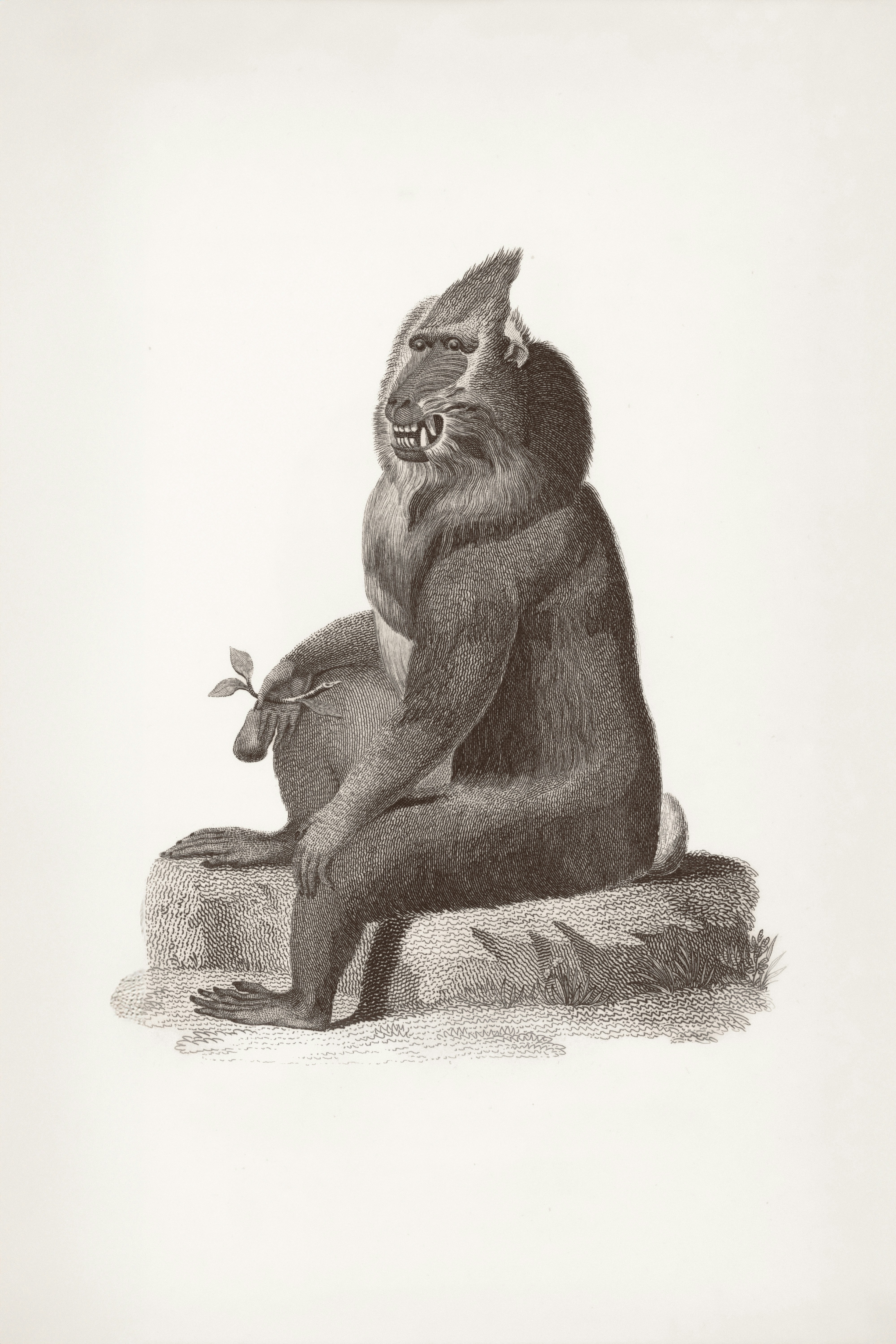 mbti personality type illustration