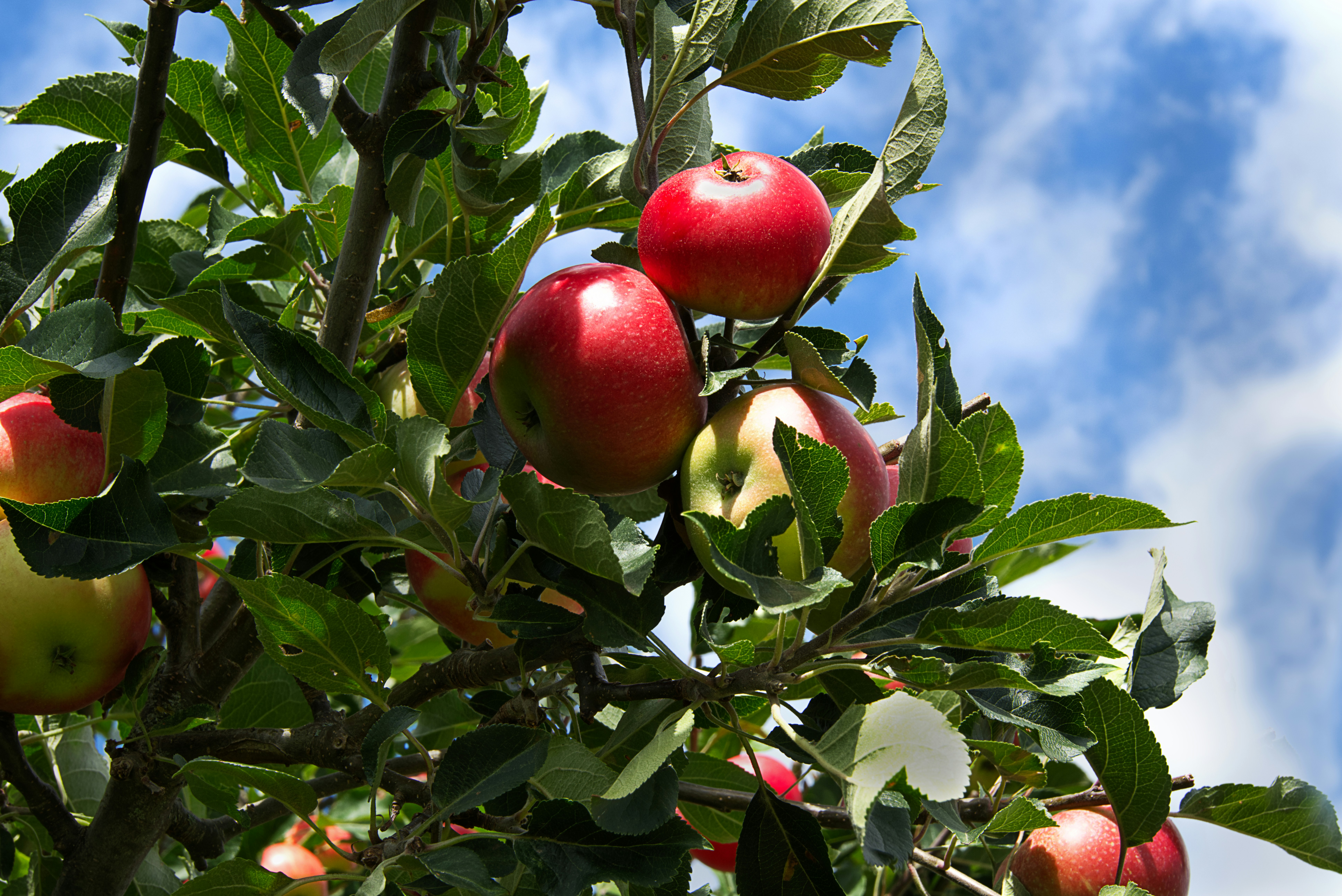 Photo by packetdiscards