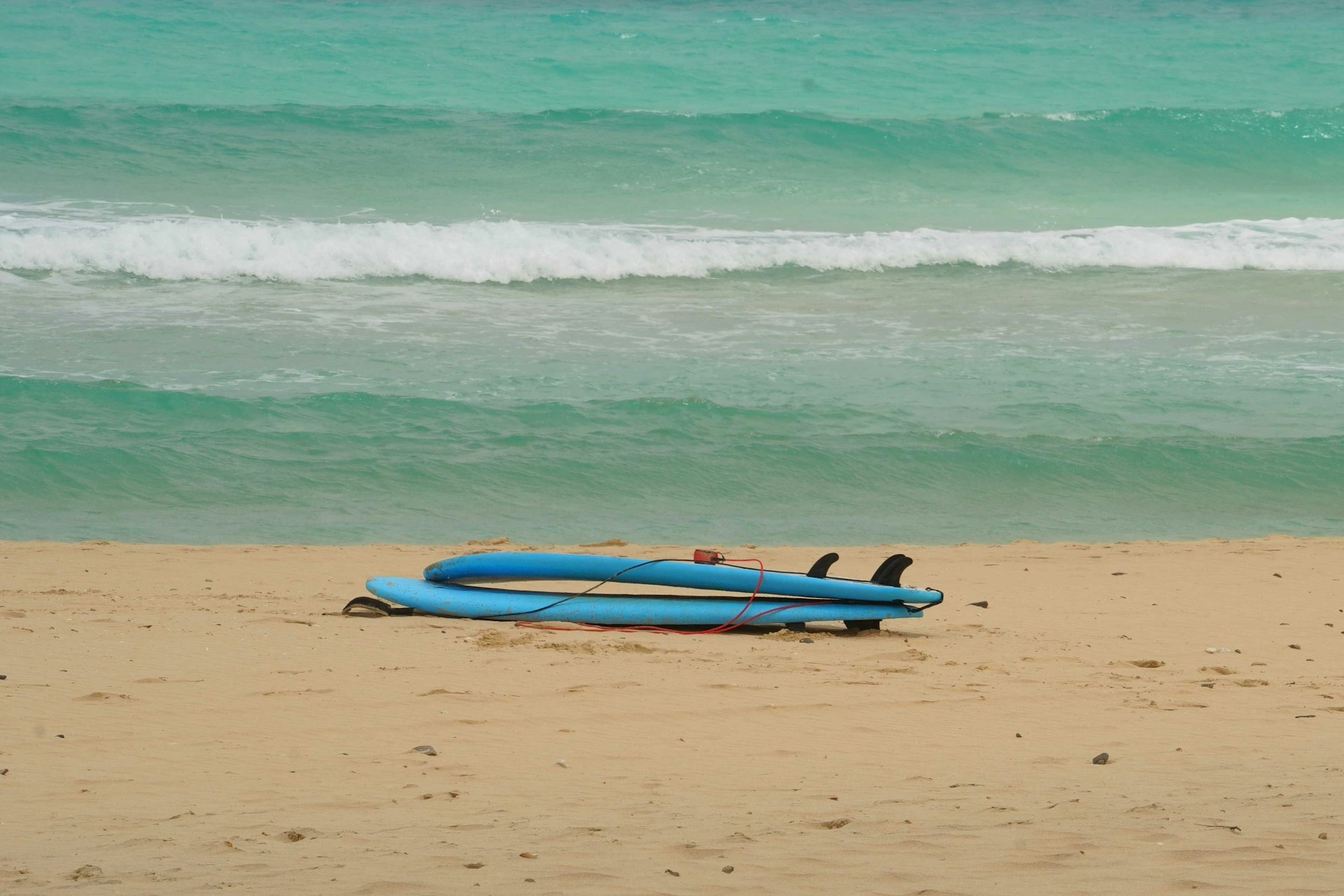Surfboards rest on the beach near the ocean.