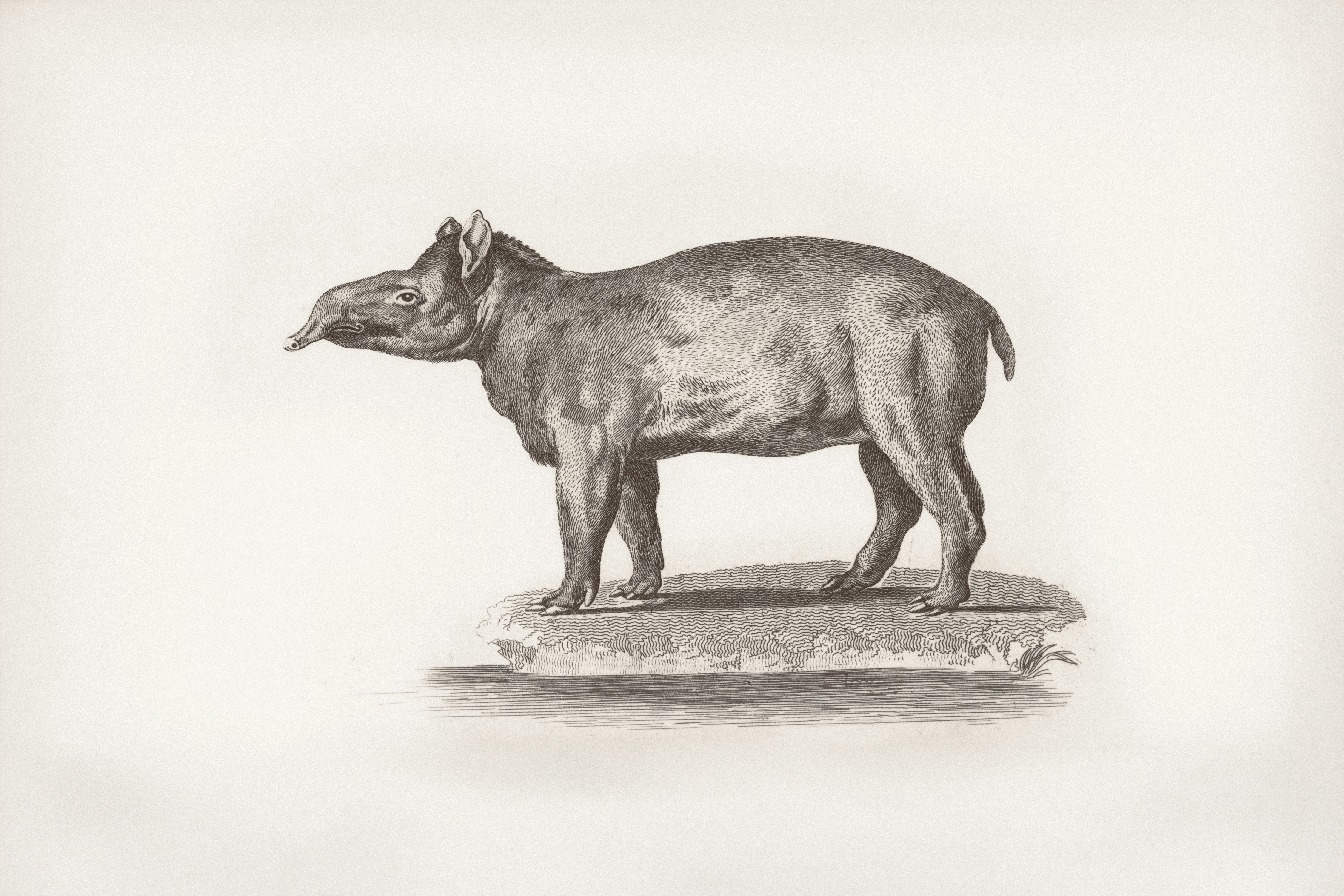 OpenAI unveils Aardvark