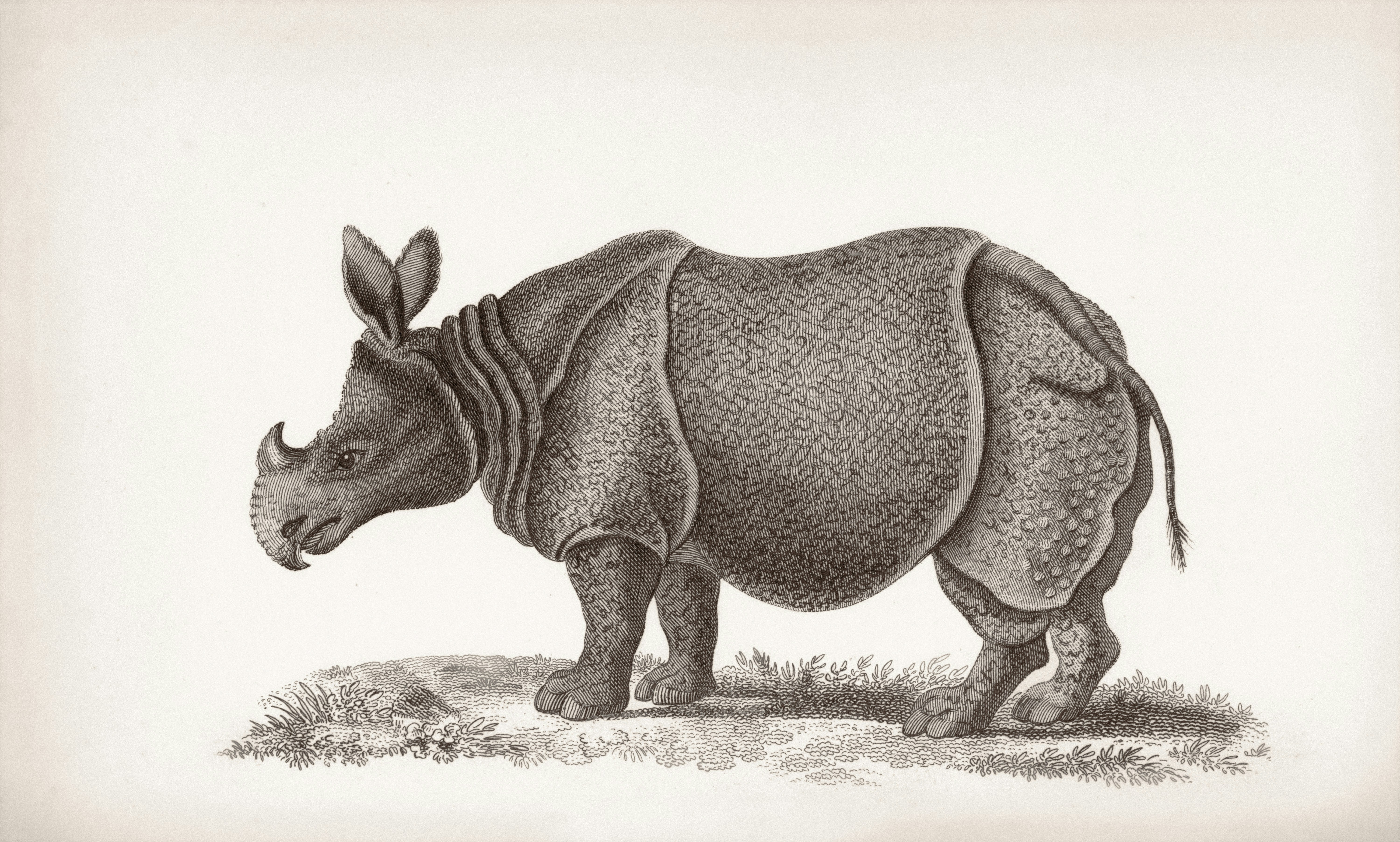 medtech related image for: PagePeek AI Evaluates Rhinological Studies for Clinical Relevance