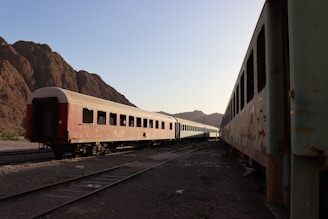 Abandoned train cars sit in a scenic setting.