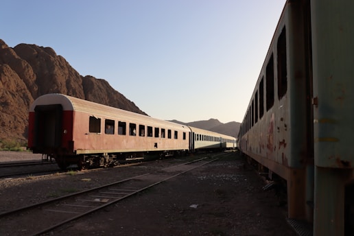Abandoned train cars sit in a scenic setting.