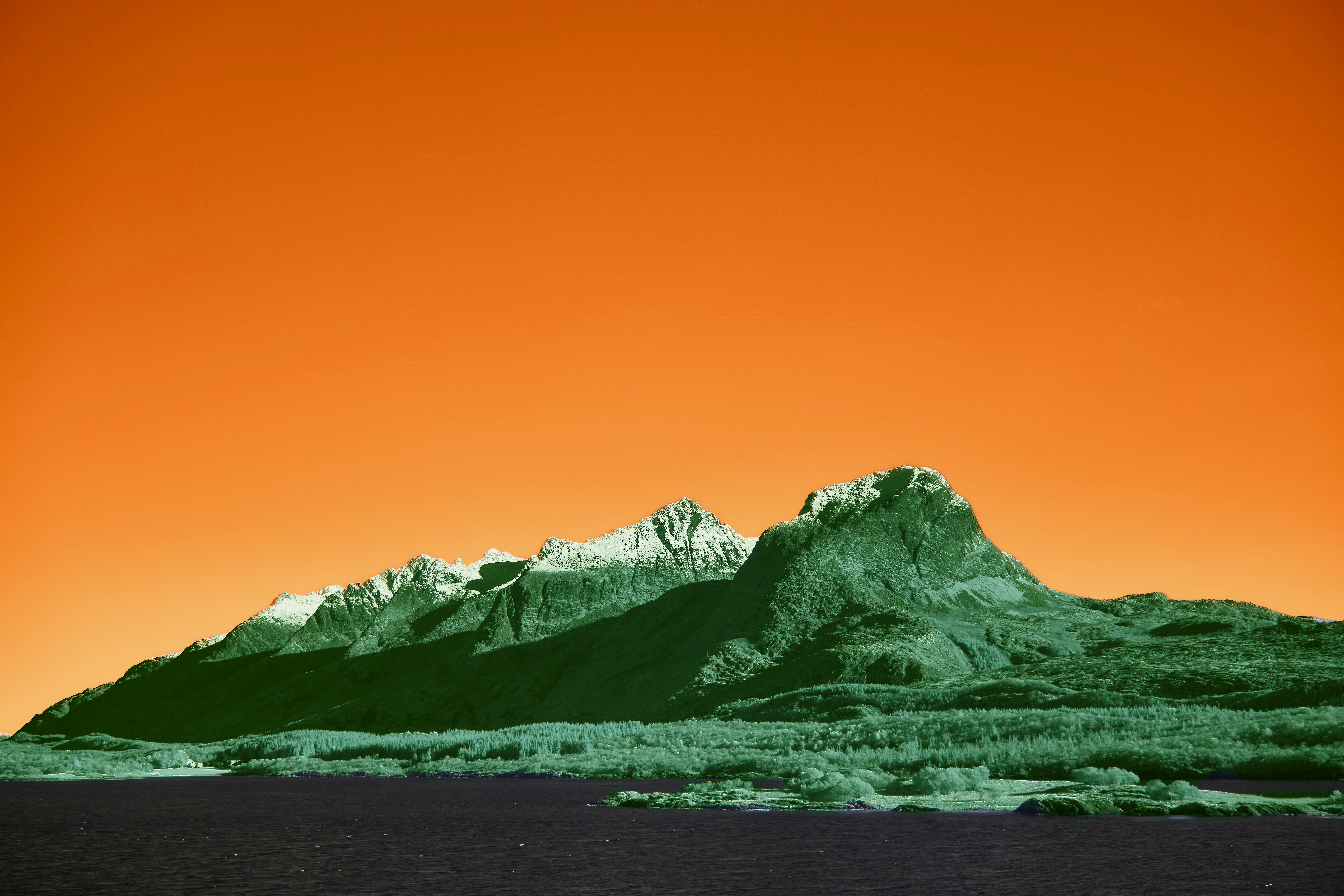 Photo by wolfgang_hasselmann