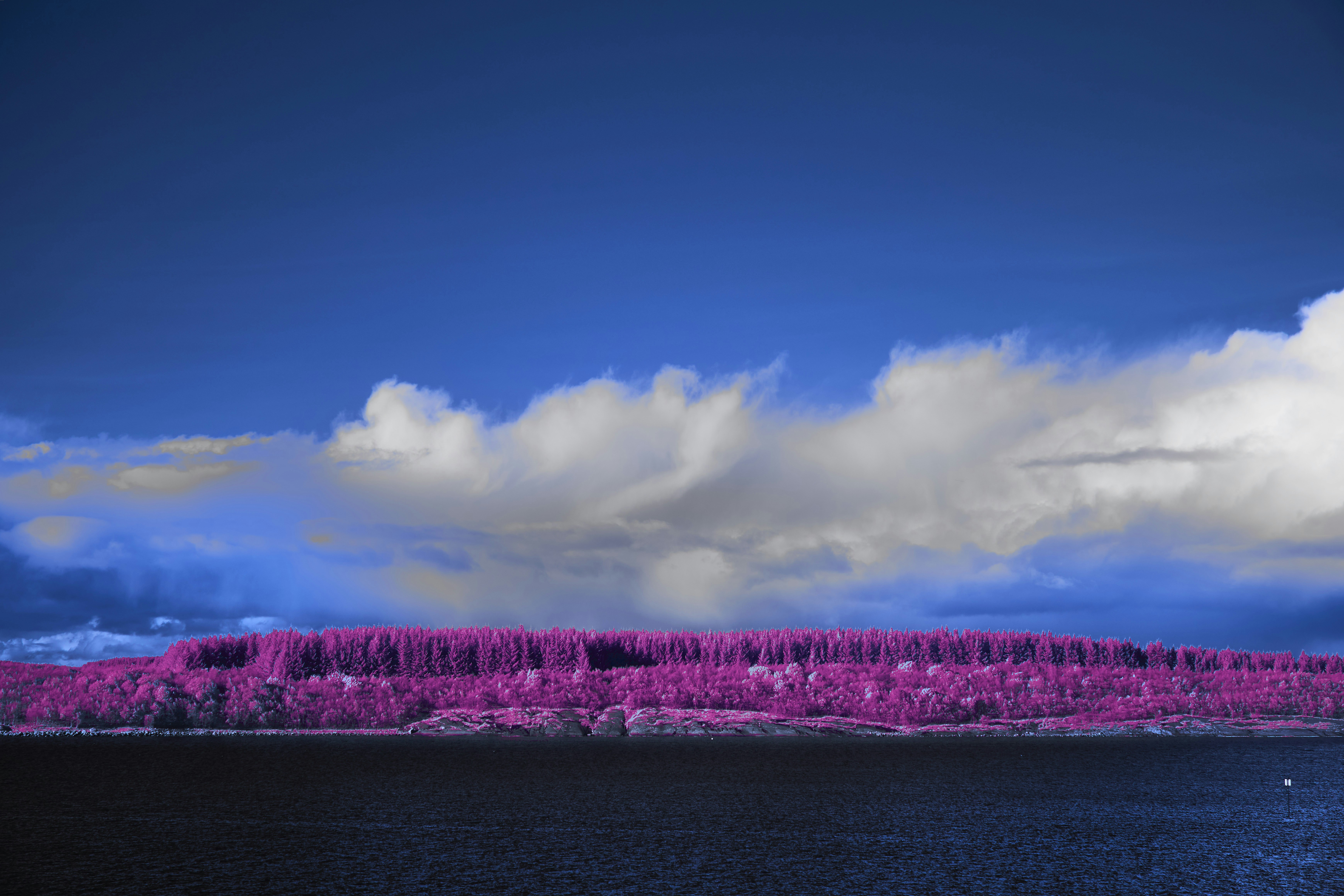 Photo by wolfgang_hasselmann