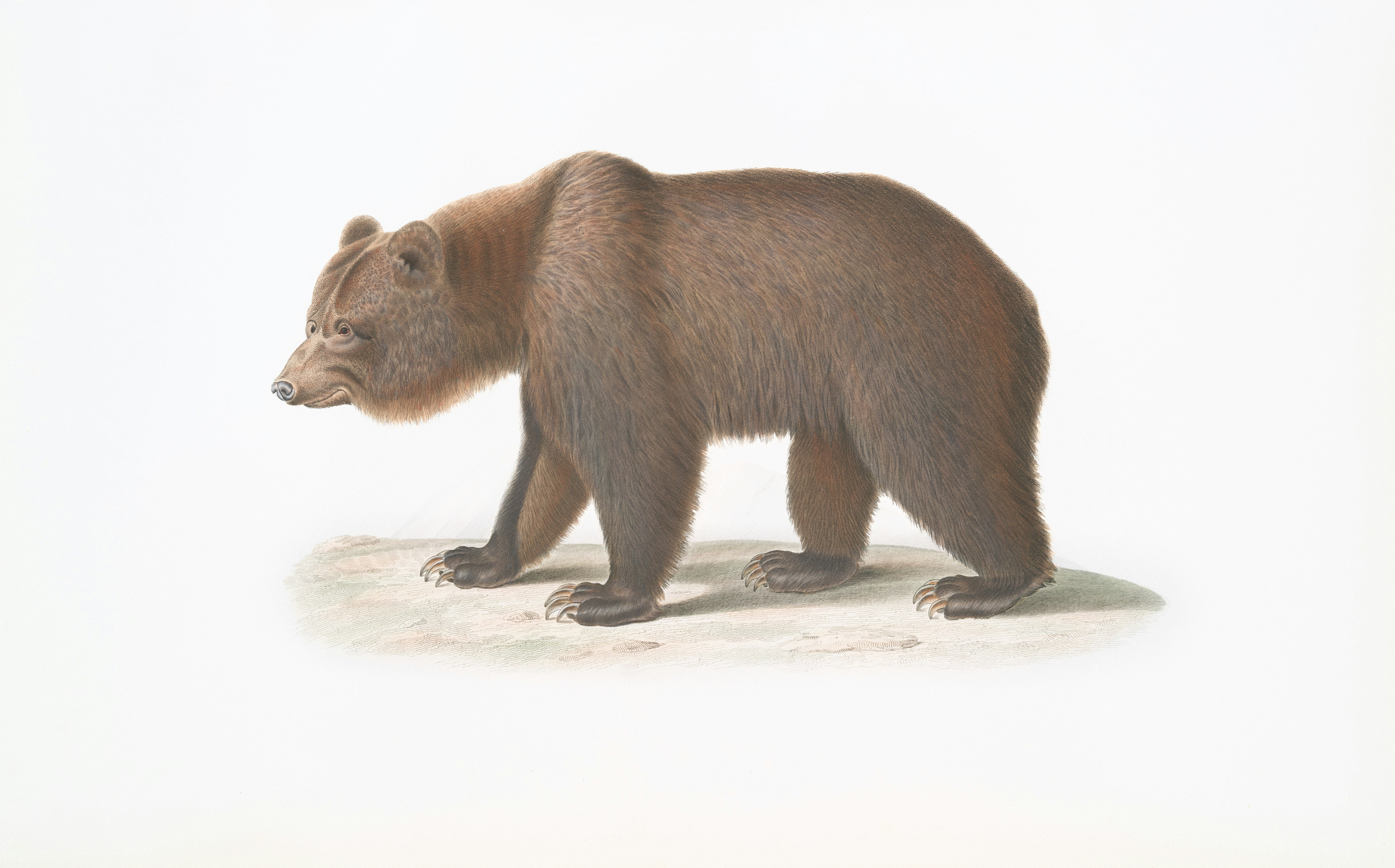 The Ojibwe Legend of the Sleeping Bear - Sleeping Bear Dunes Michigan