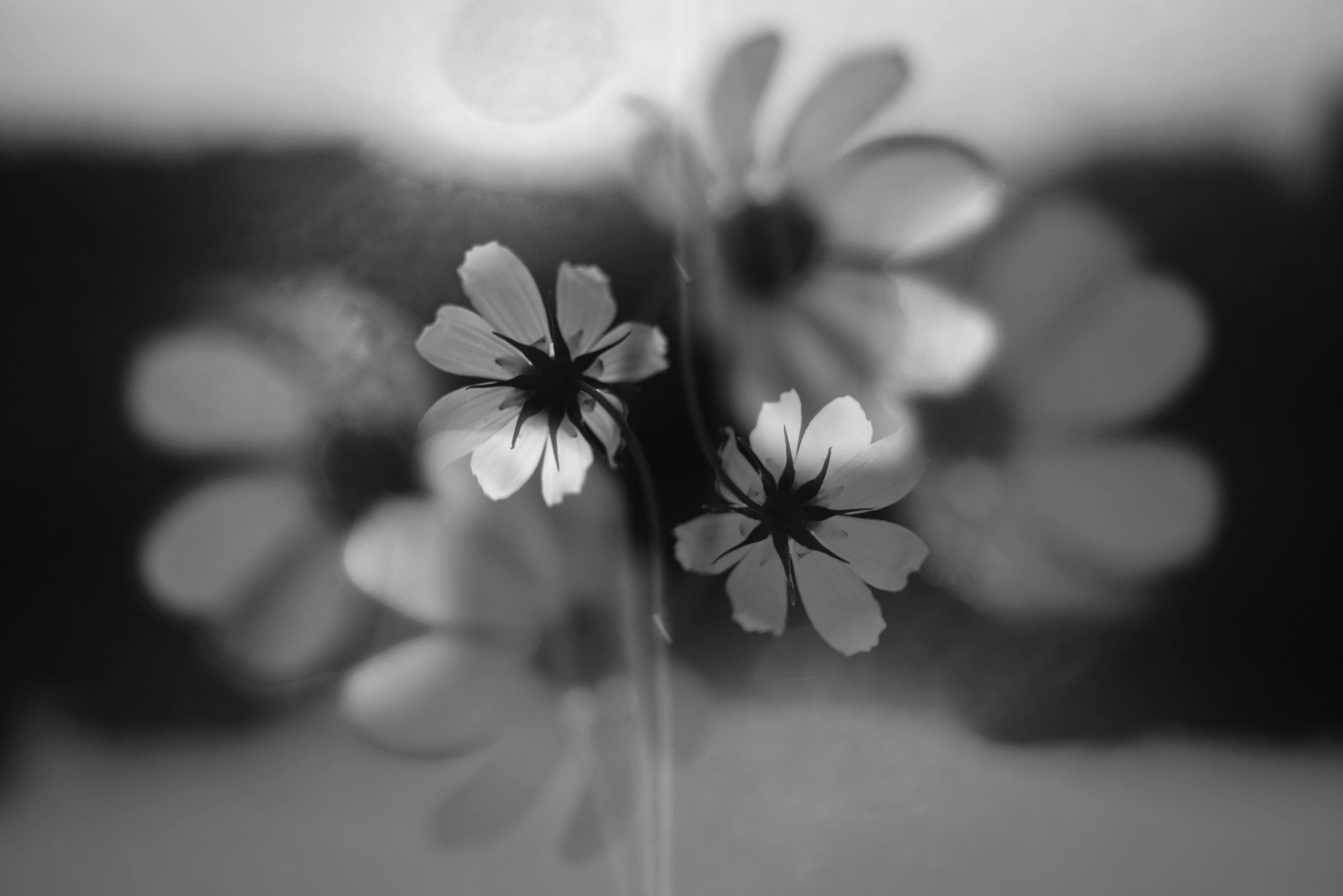 Photo by cherstve_pechivo