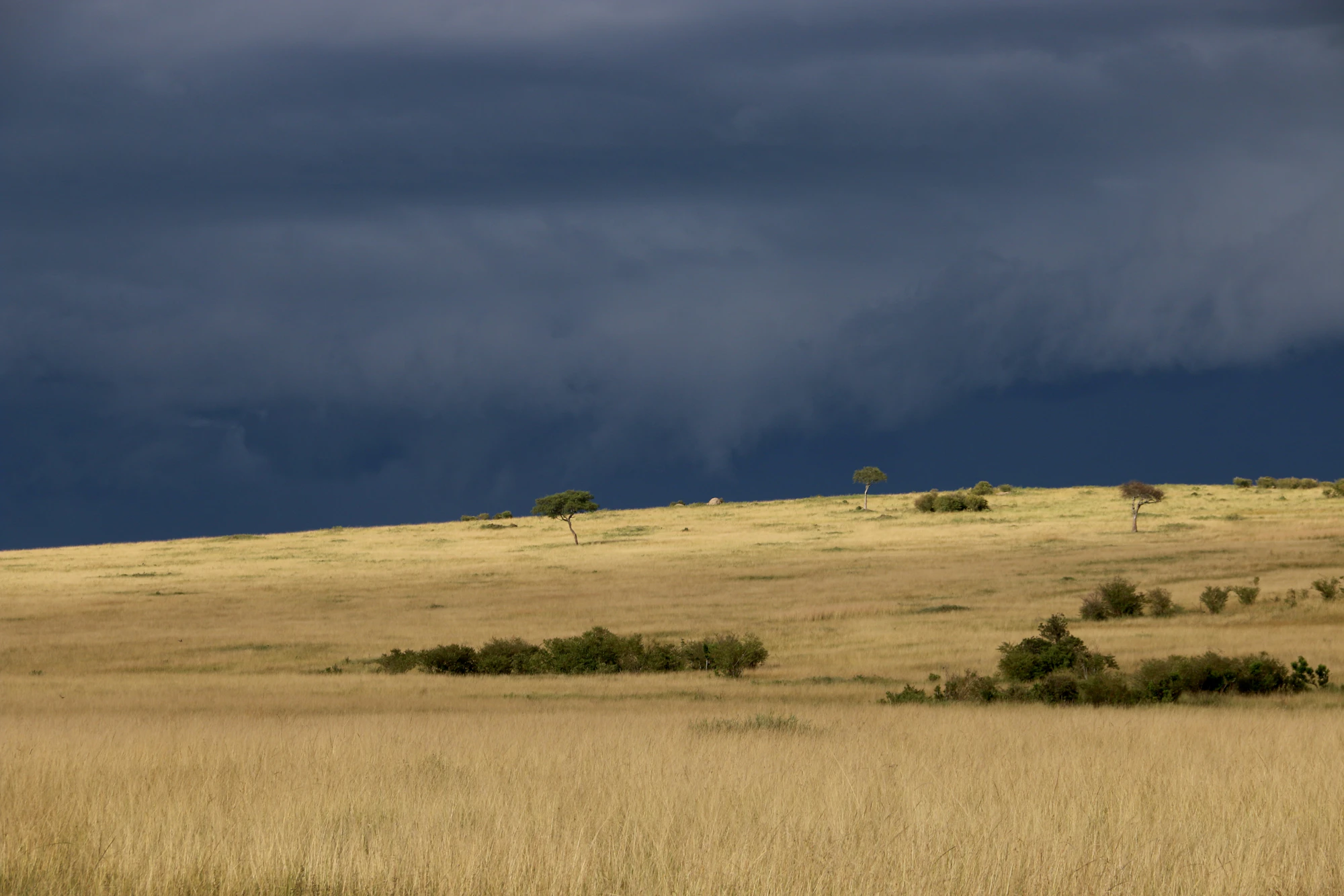 Rain clouds moving across an East African savanna