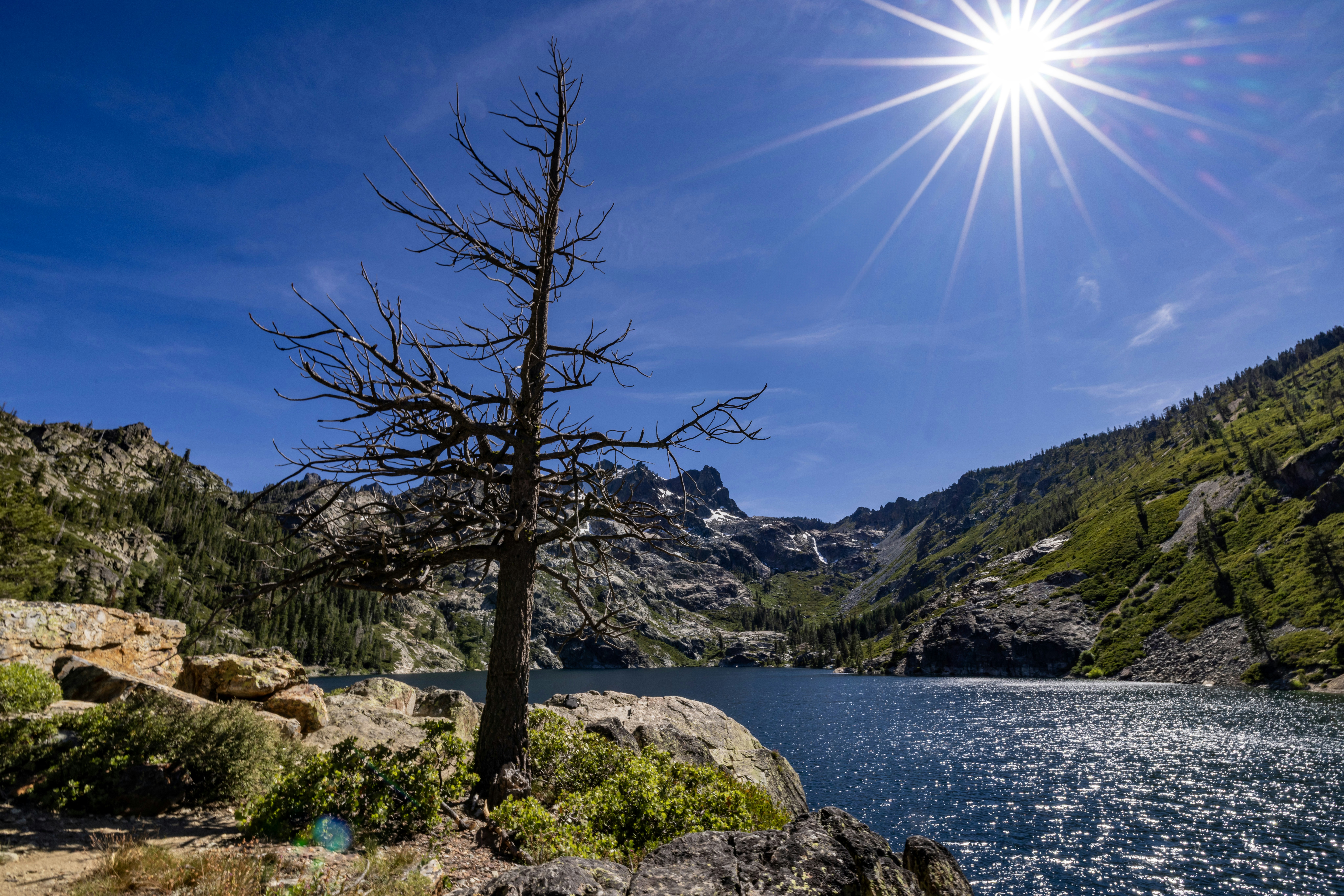 Photo by rocinante_11