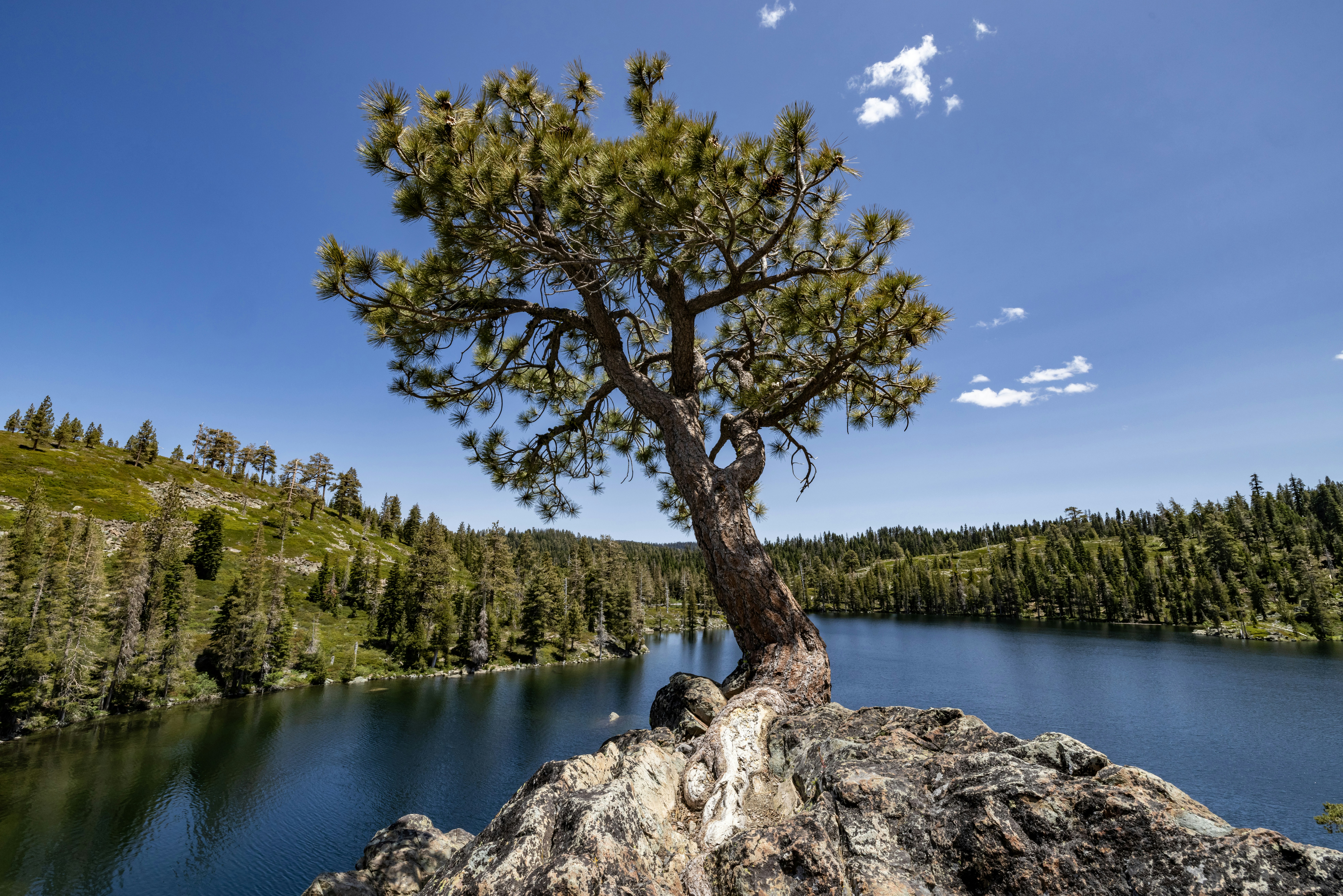 Photo by rocinante_11