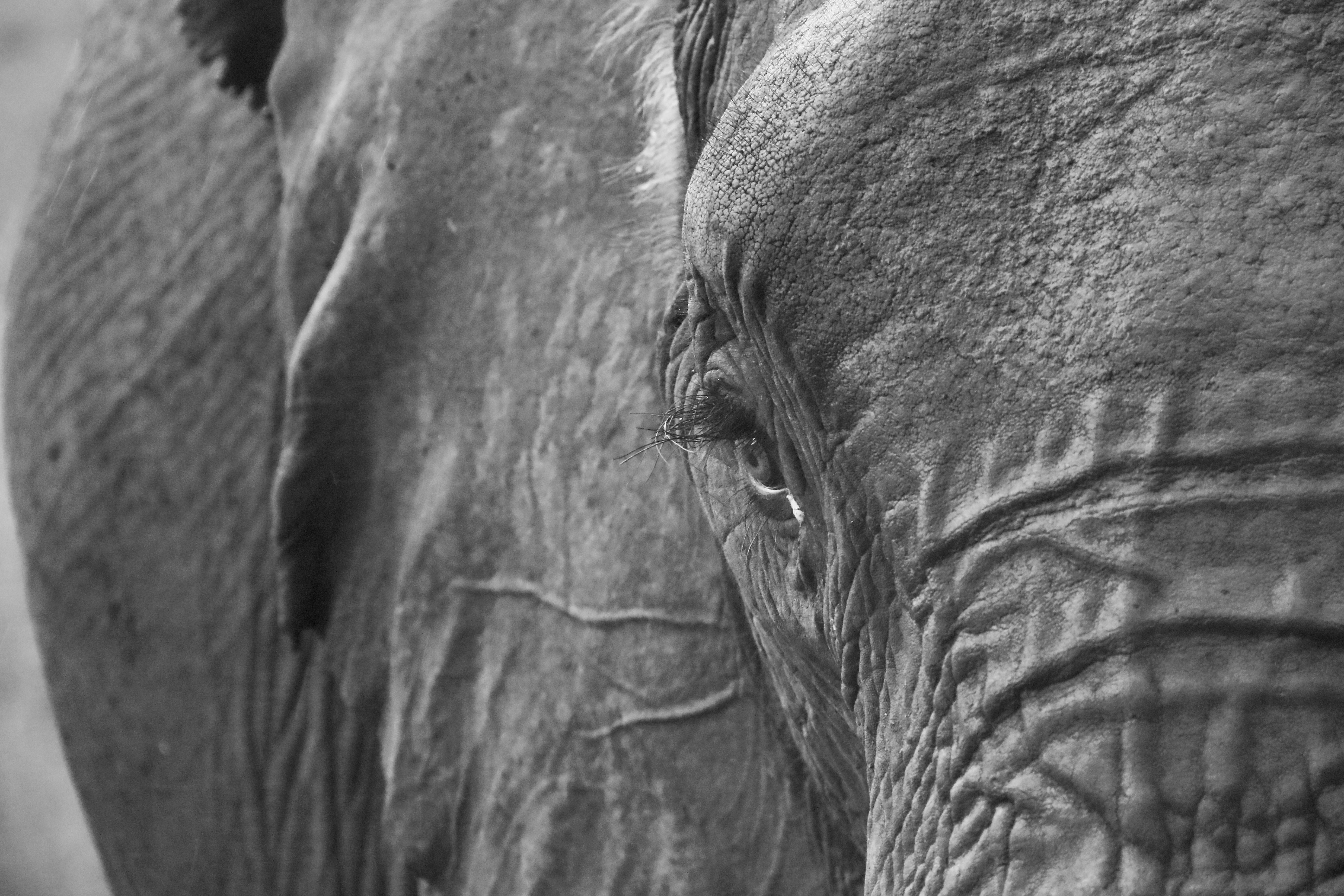 Photo by polinakoroleva