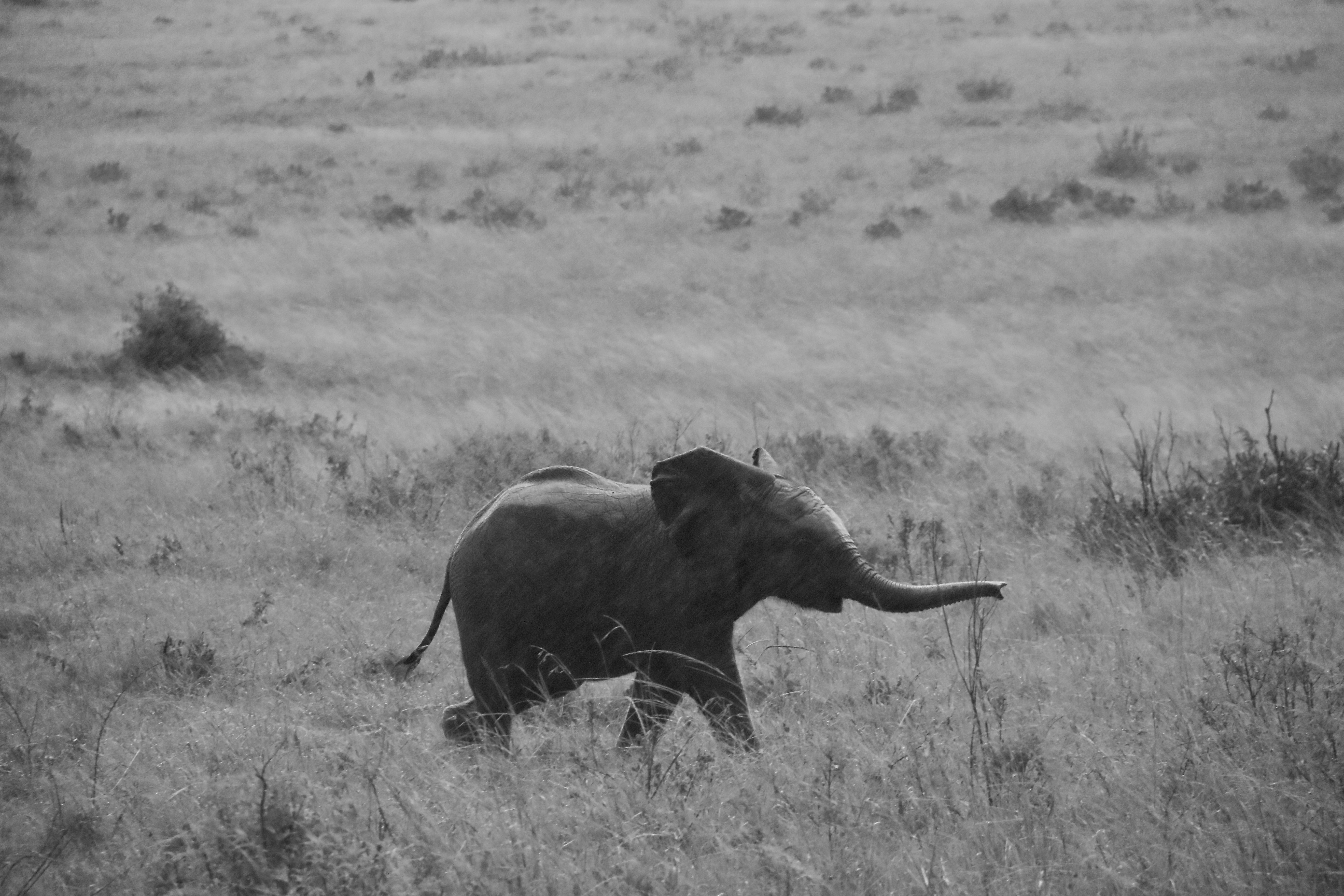 Photo by polinakoroleva