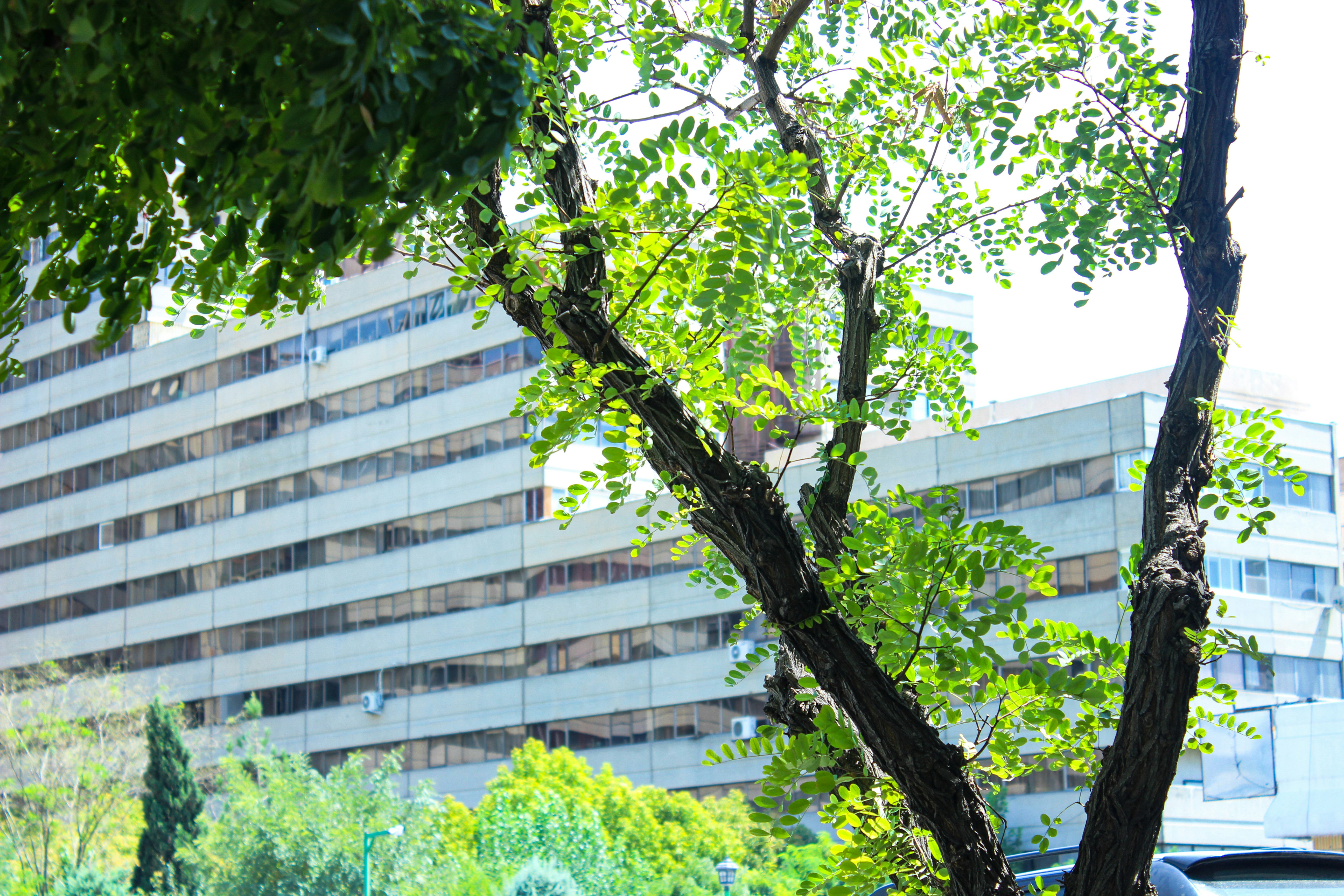 Photo by elham_frame