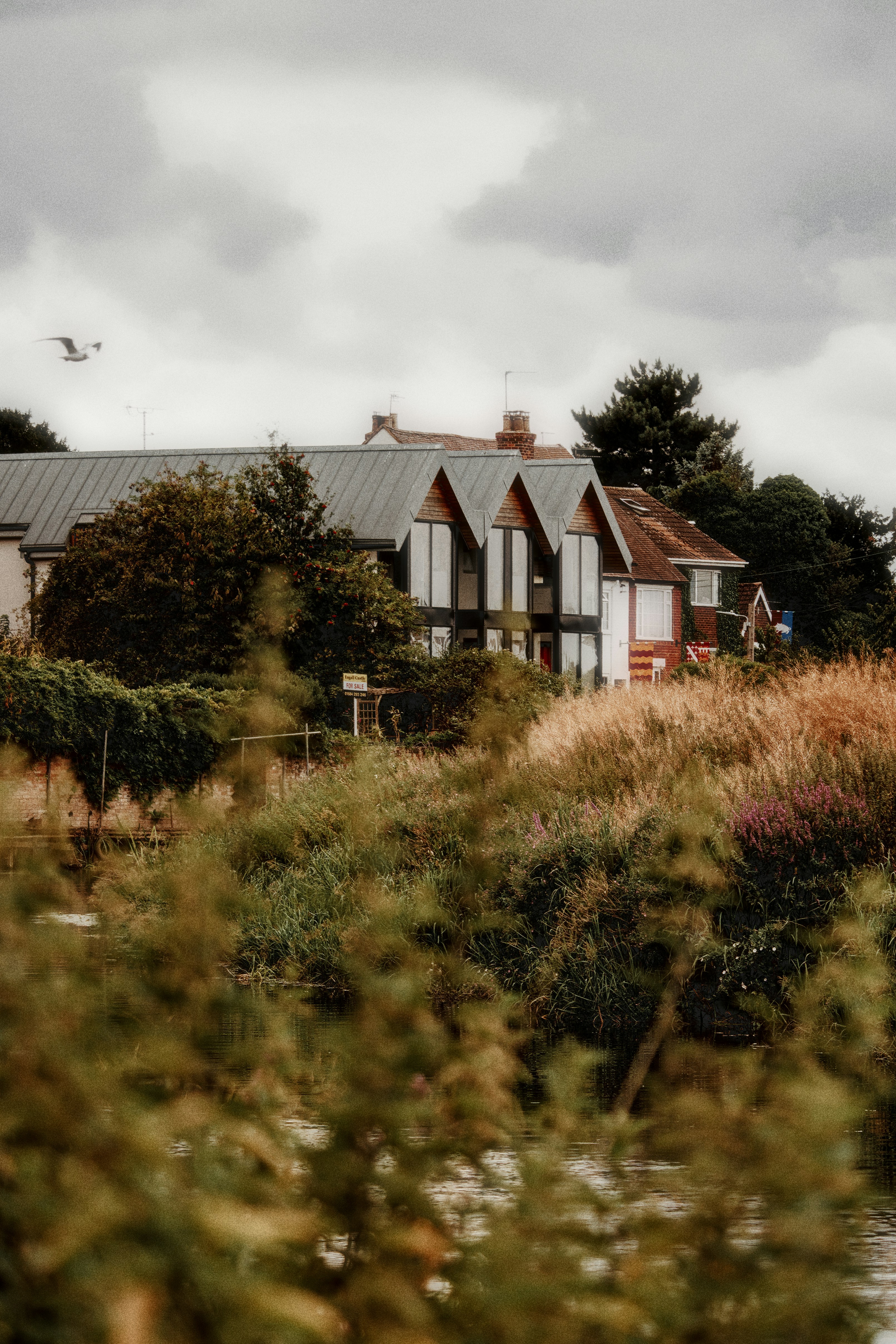 Photo by dotdavisphotography