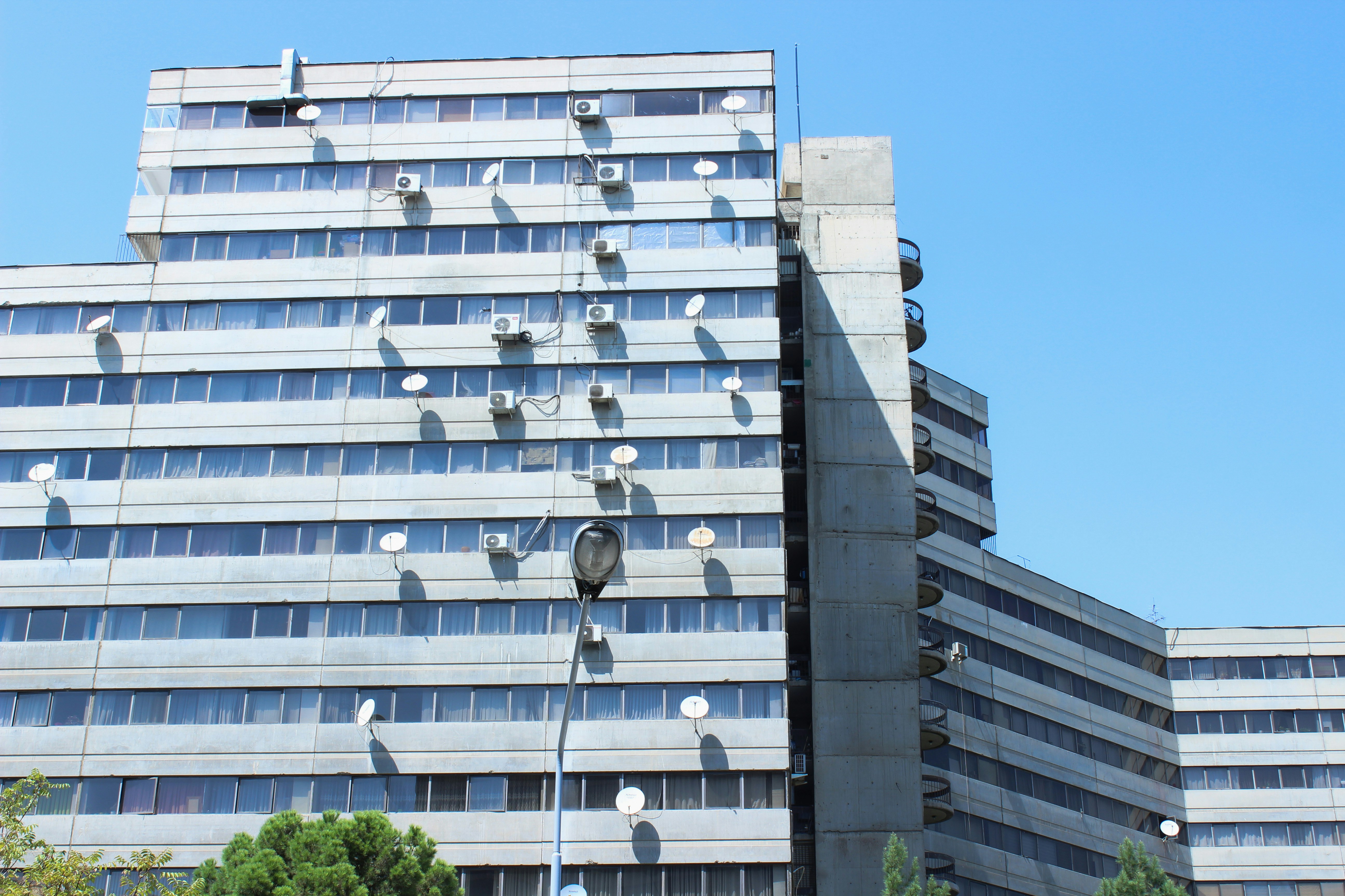 Photo by elham_frame