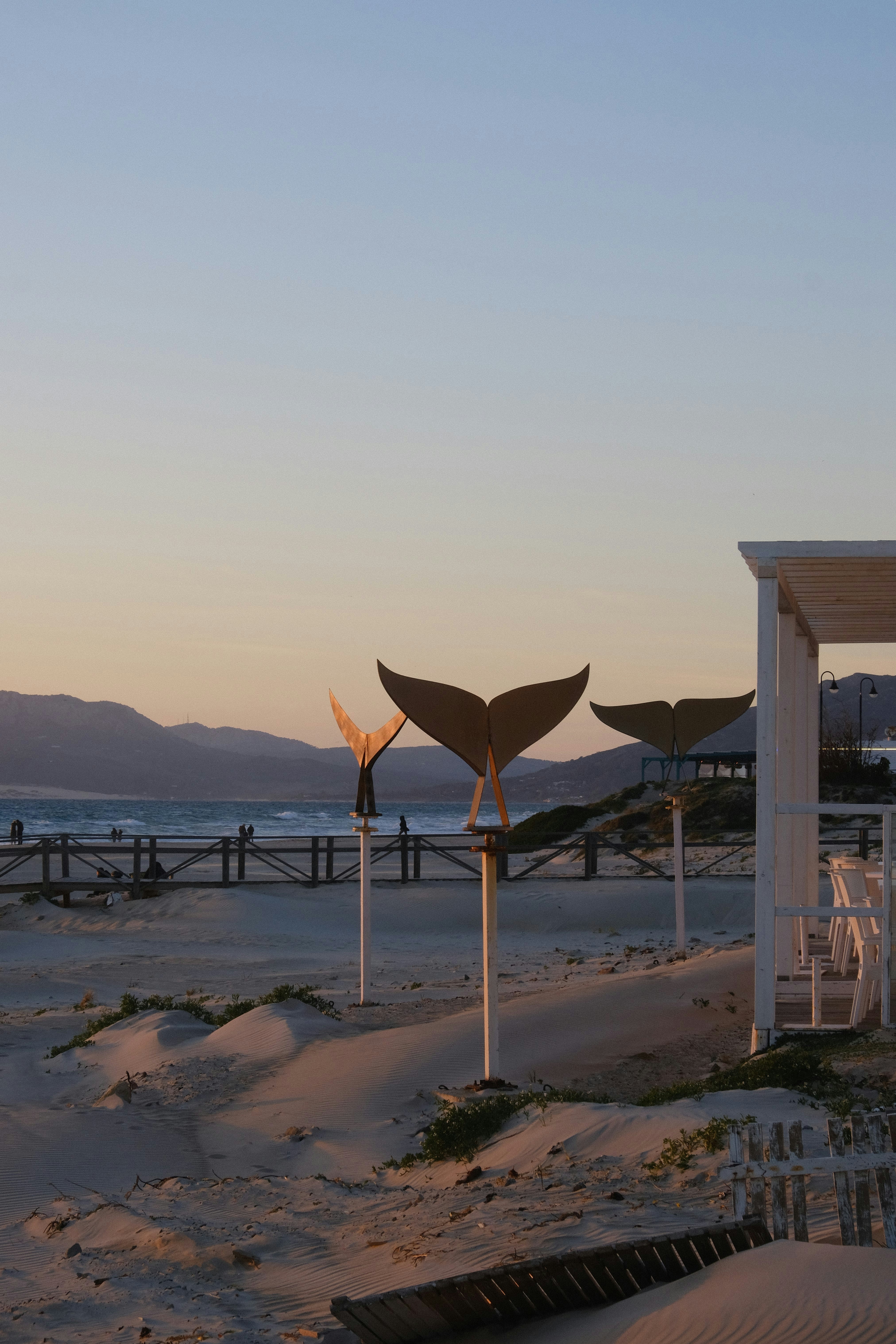 Whale tails decorate a beach at sunset