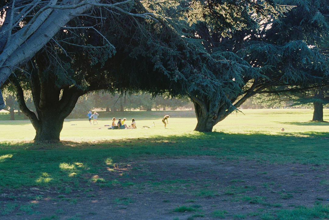 3-Day Christchurch Family Travel Itinerary