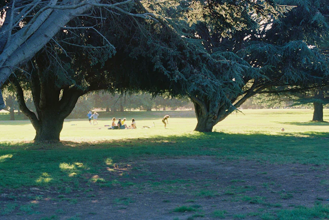 3-Day Christchurch Family Travel Itinerary