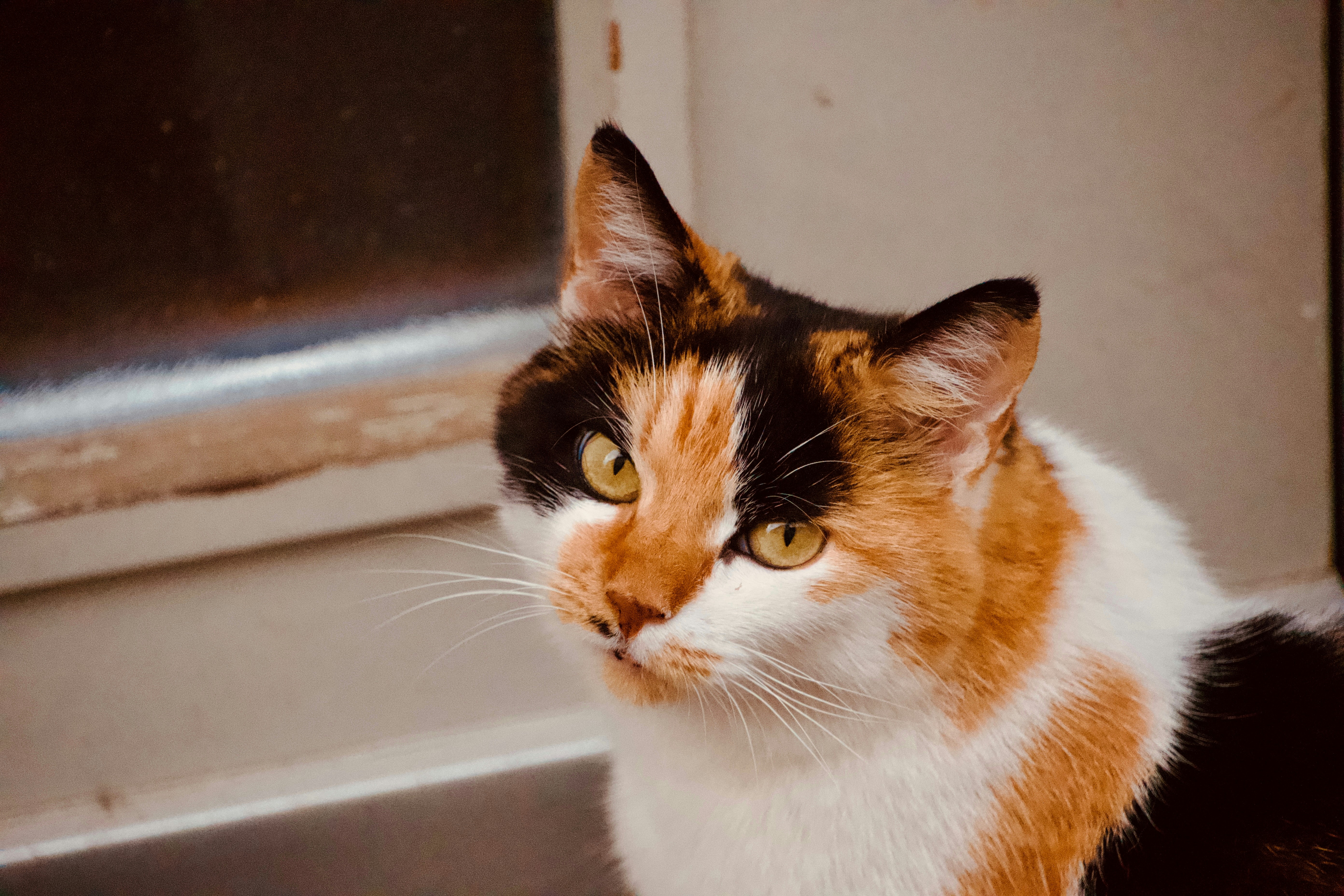 Photo by eugenio_gabriel