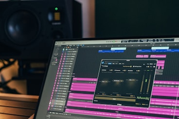 Recording software on a computer screen.