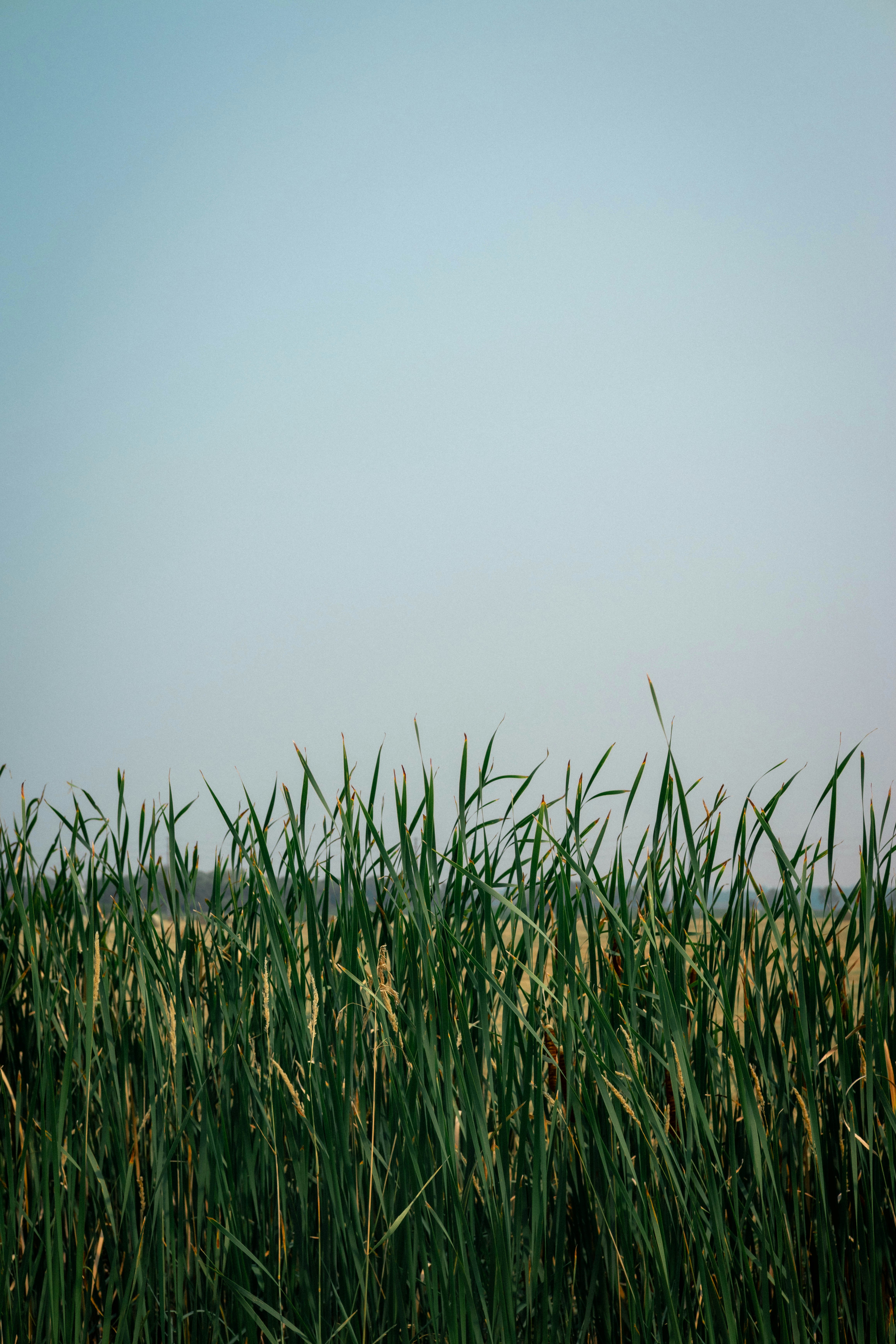 Photo by hashcode_error