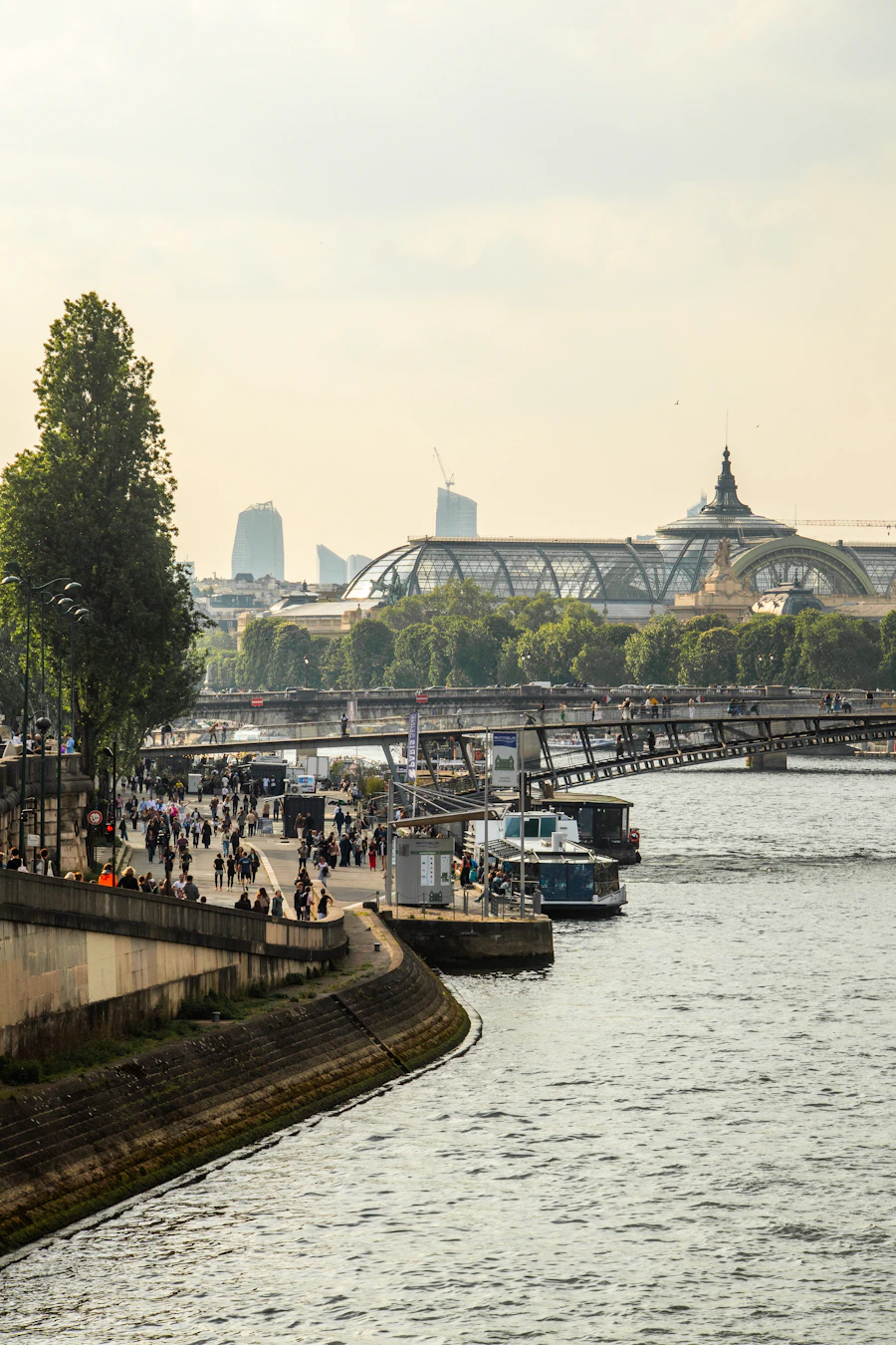 Les quais de Seine et les façades de Paris