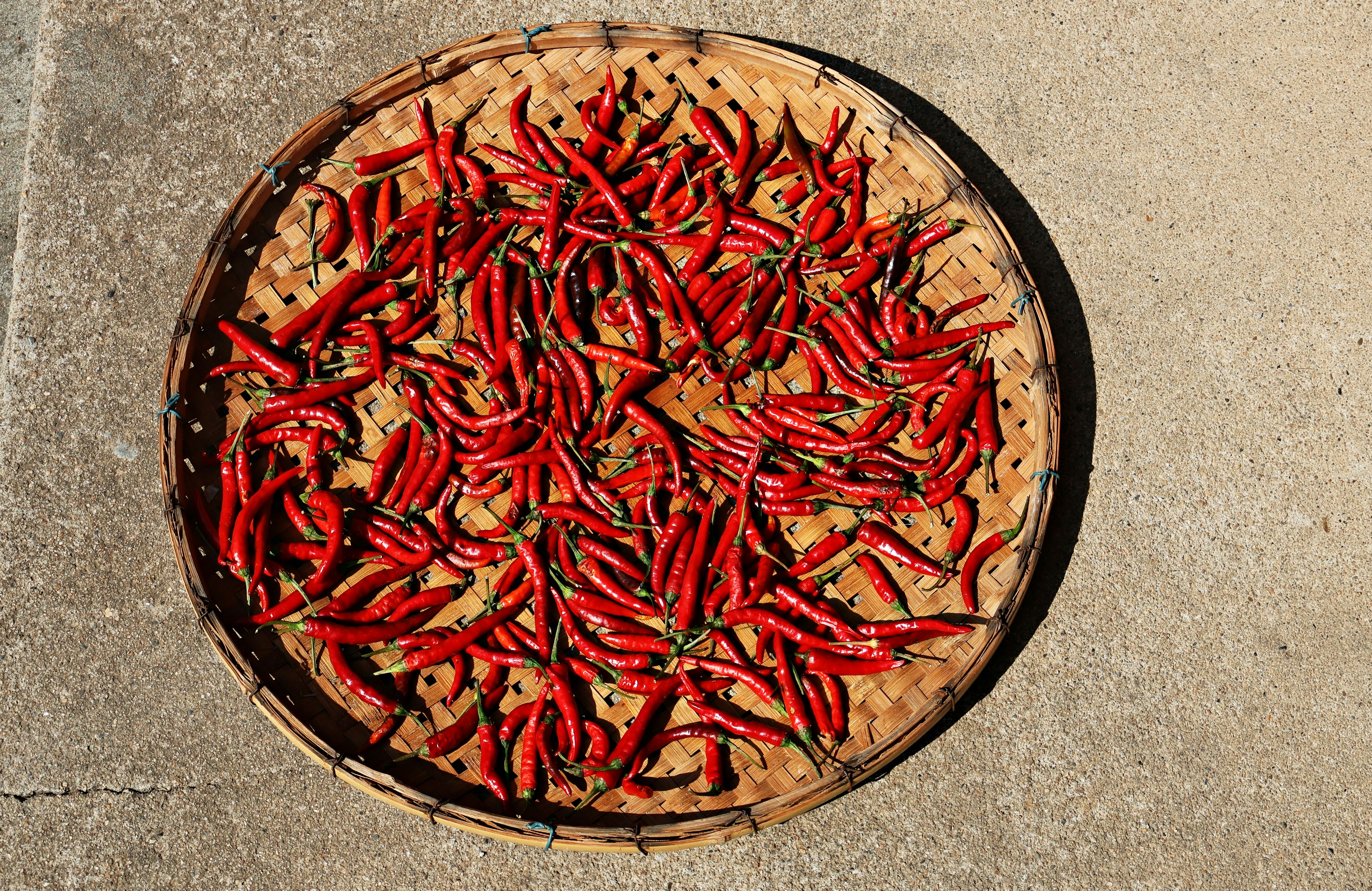 Red chillies drying in sun