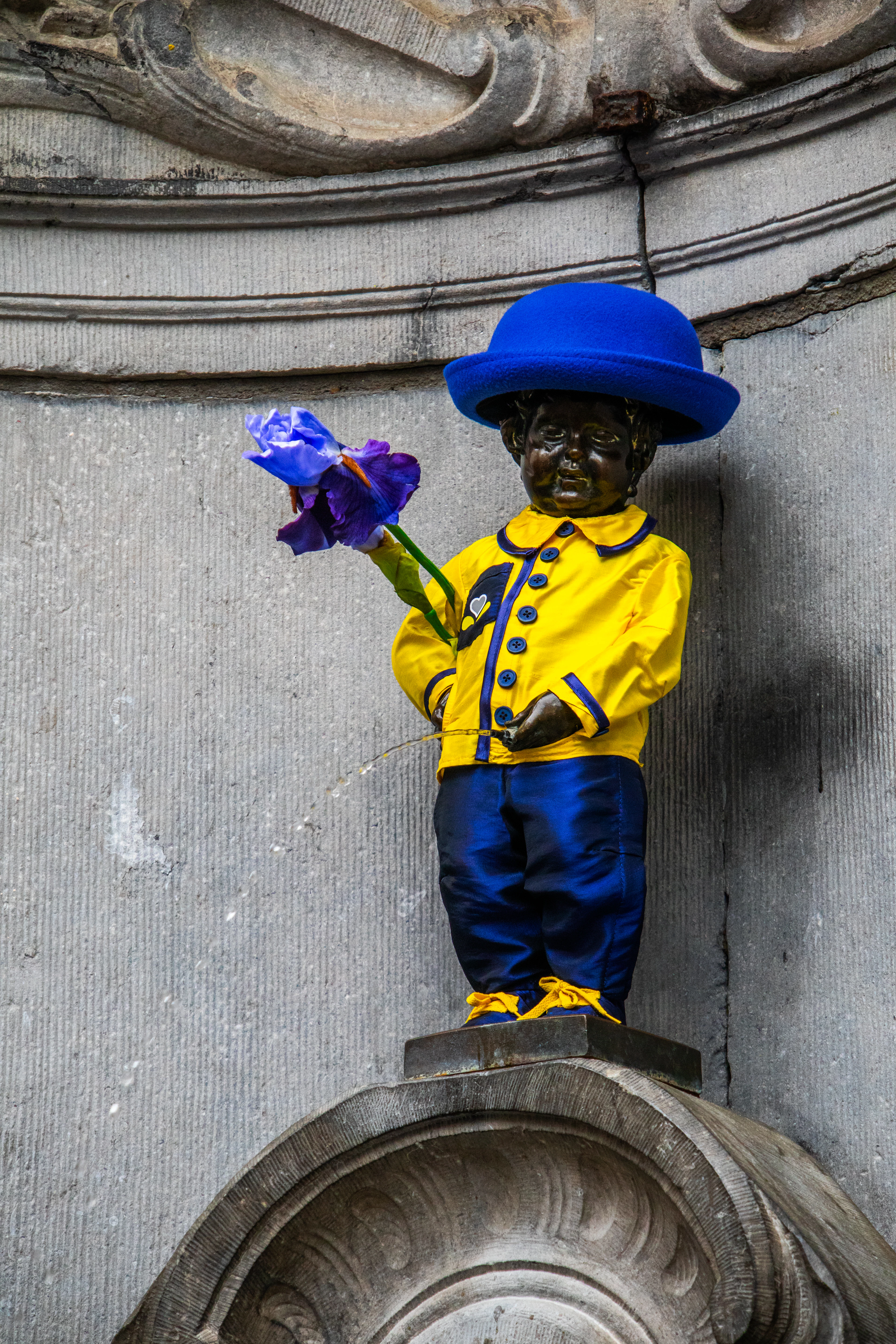 The Manneken Pis fountain in Brussels dressed in a yellow jacket, blue trousers and a blue bowler hat, holding a purple iris while its thin stream arcs out against the grey fluted stone niche.