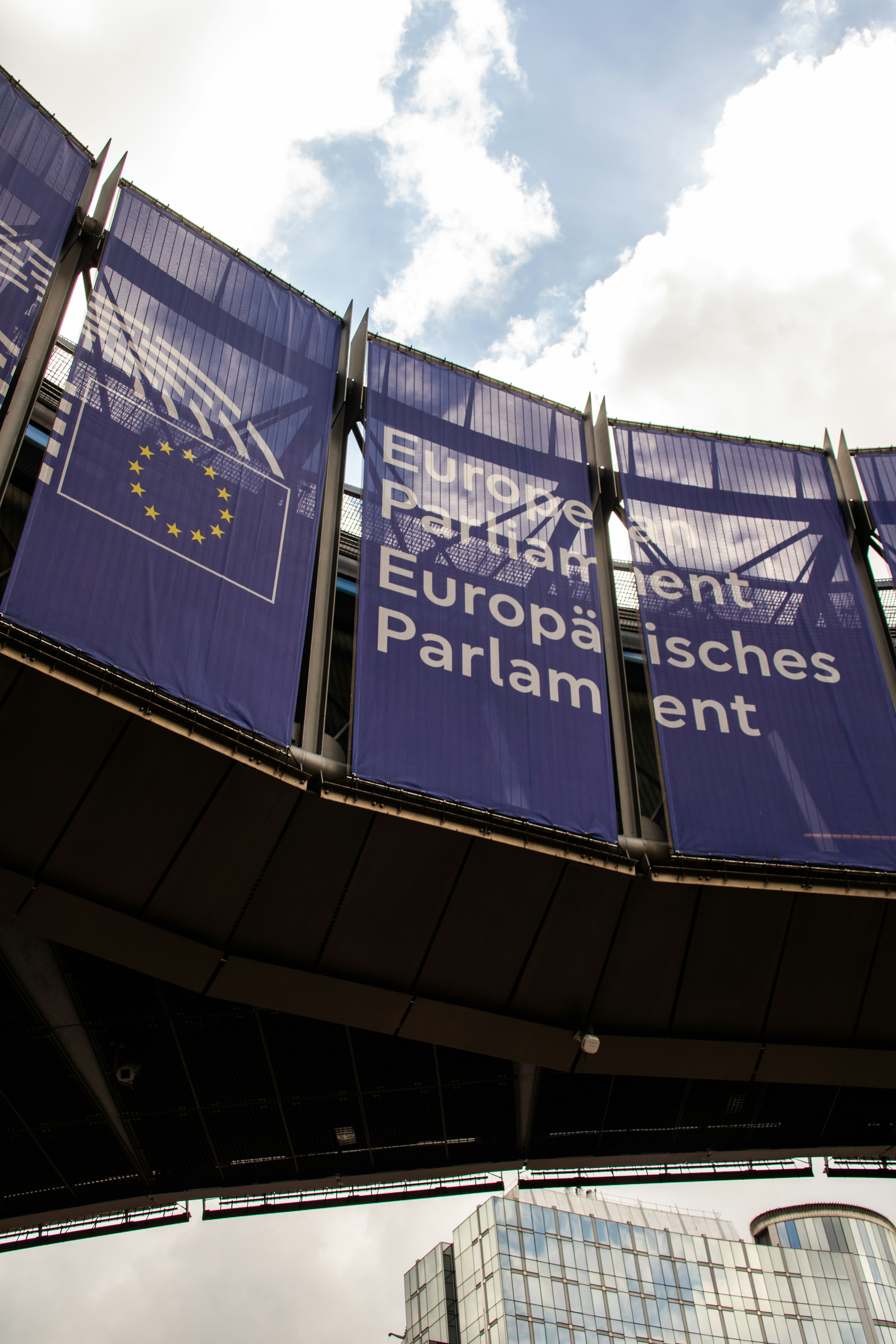 당원권 정지 2년 뜻과 향후 영향 분석 이미지2