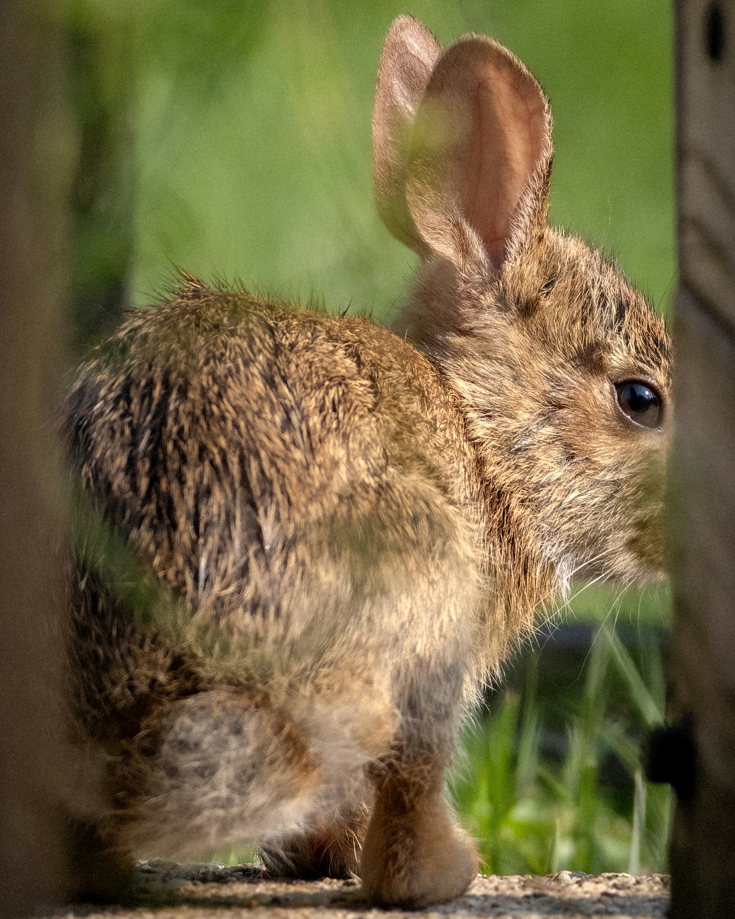 Photo by peterbbryan