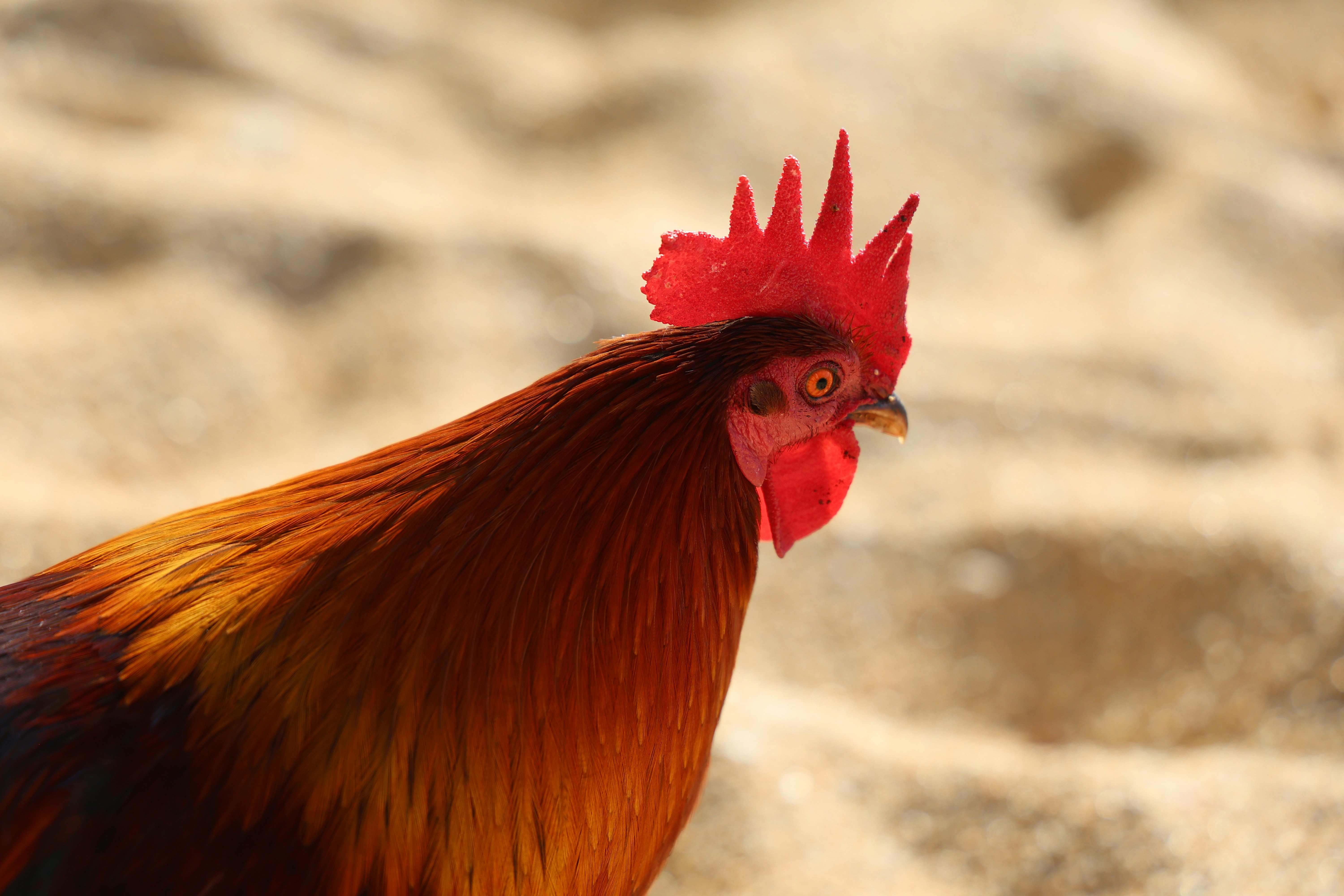 Photo by joleajouneys521