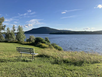 A bench overlooks a peaceful lake and mountain.