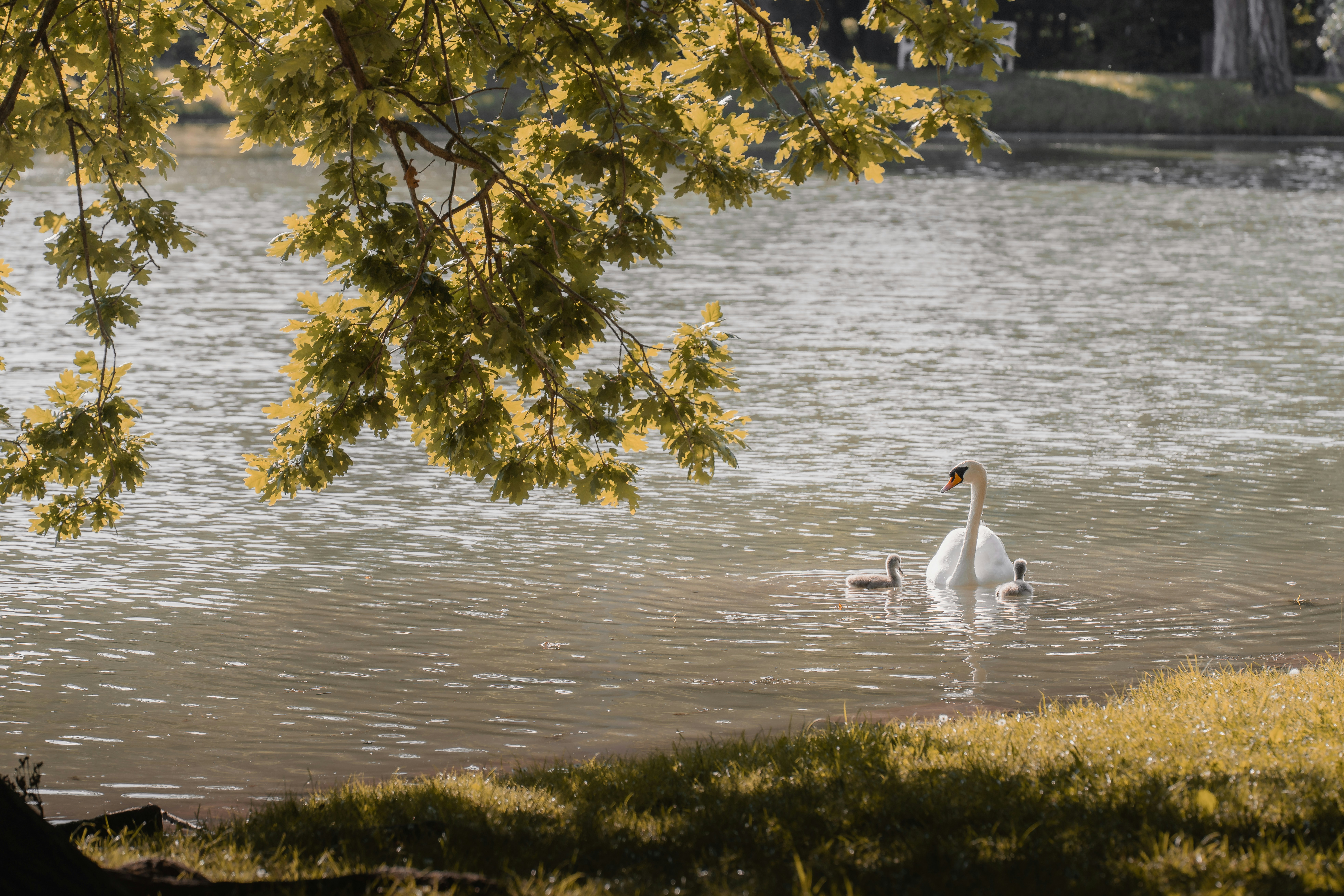 Photo by ahmetyuksek