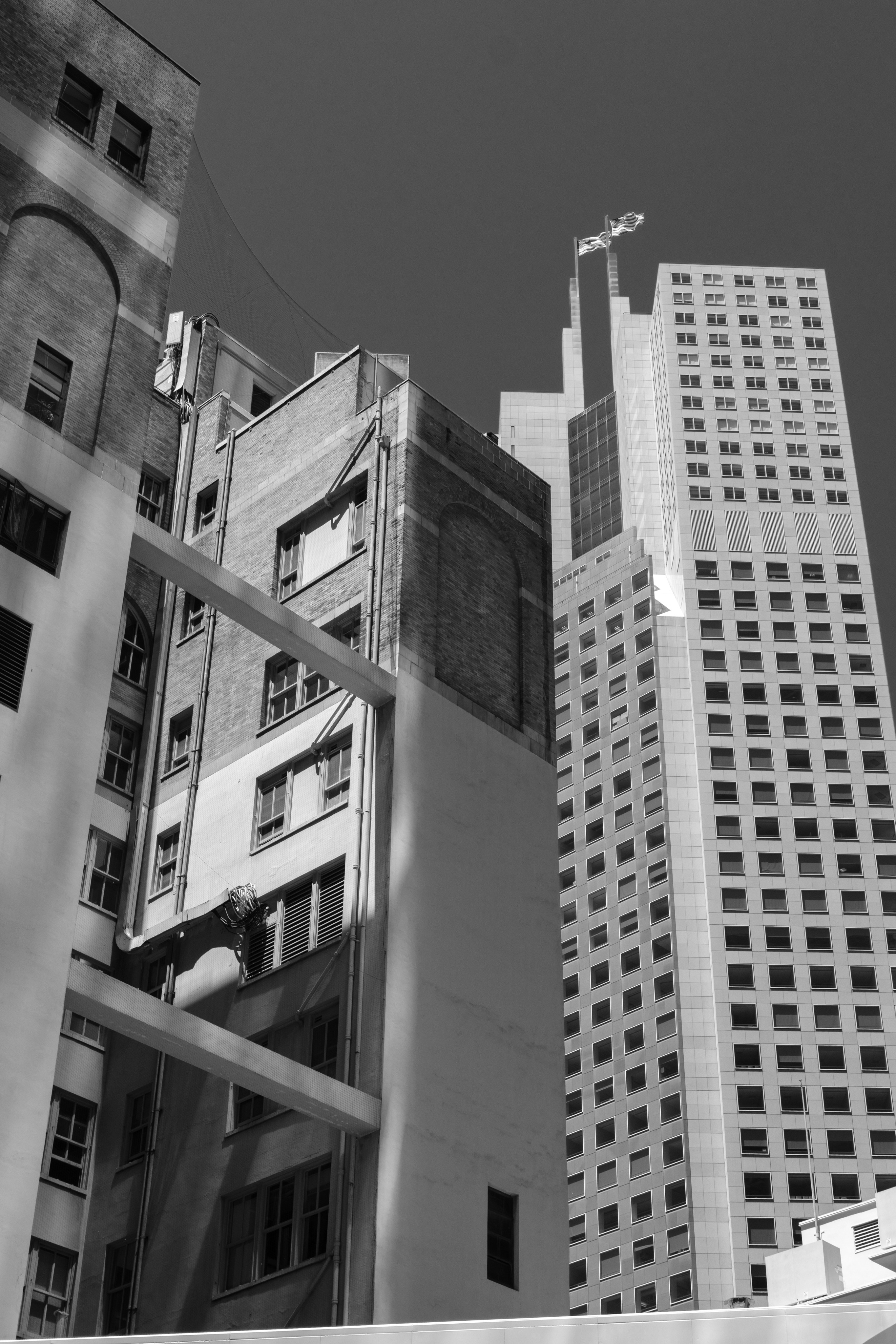 Skyscrapers tower over city buildings in black and white.