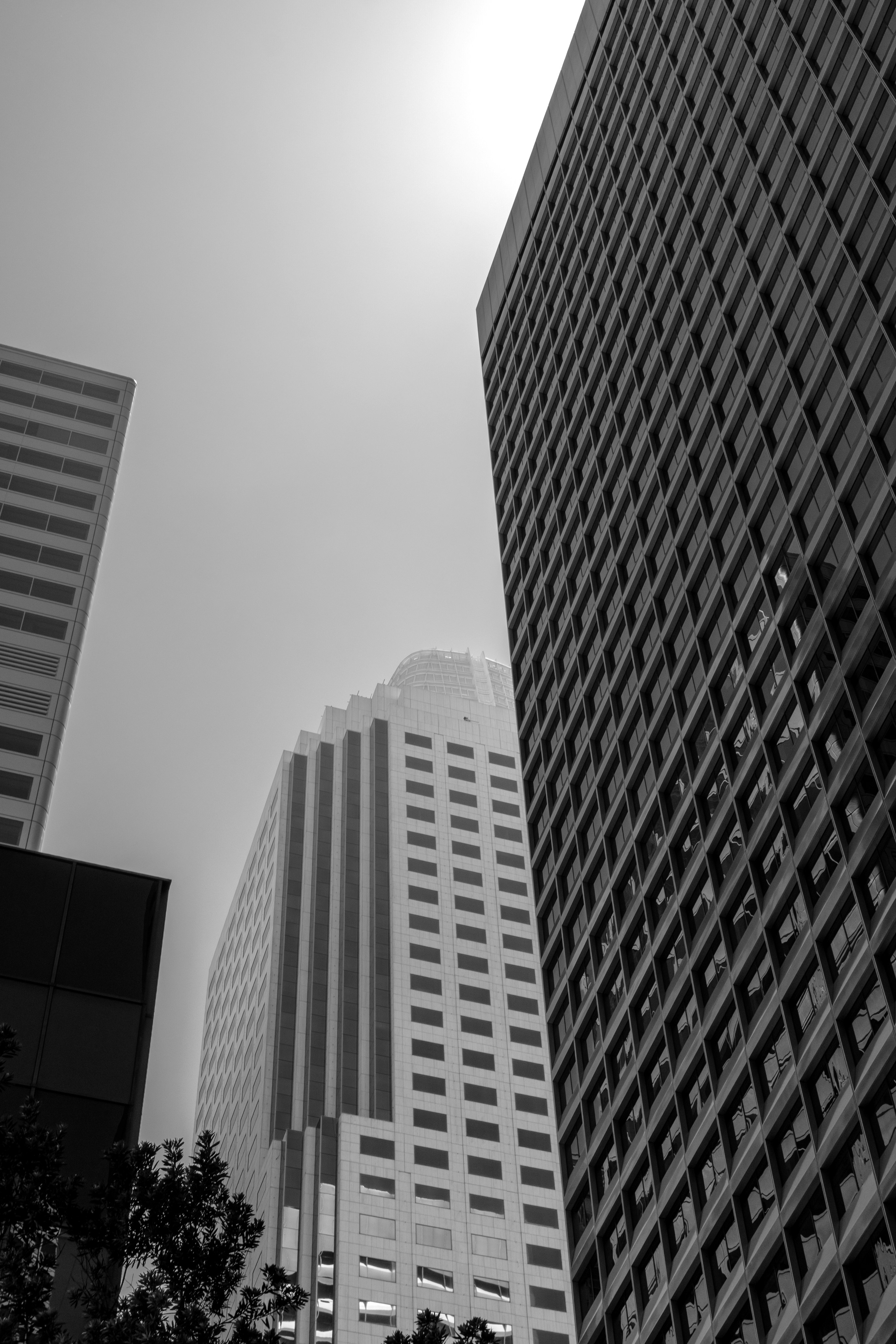 Skyscrapers reach toward the bright sky.