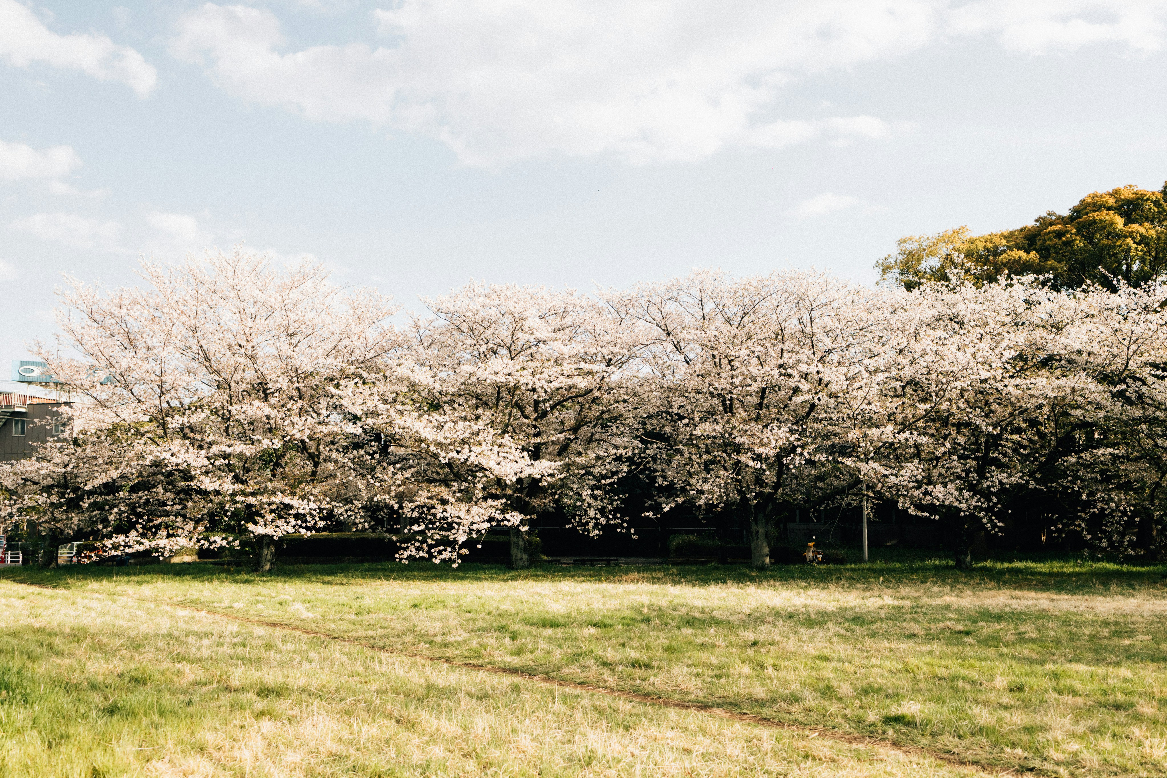 Photo by tsuyoshikozu