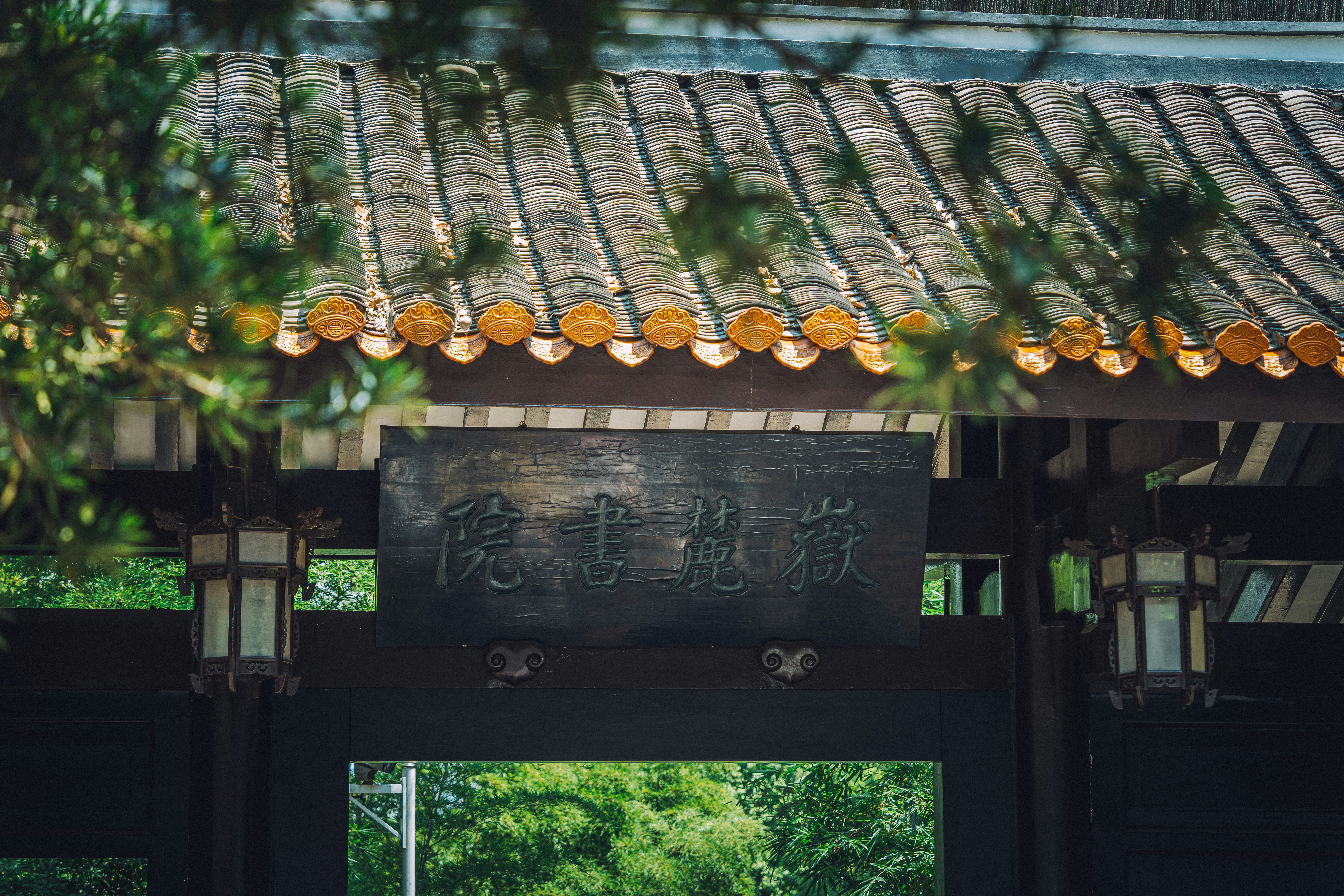 Photo by plasticine66