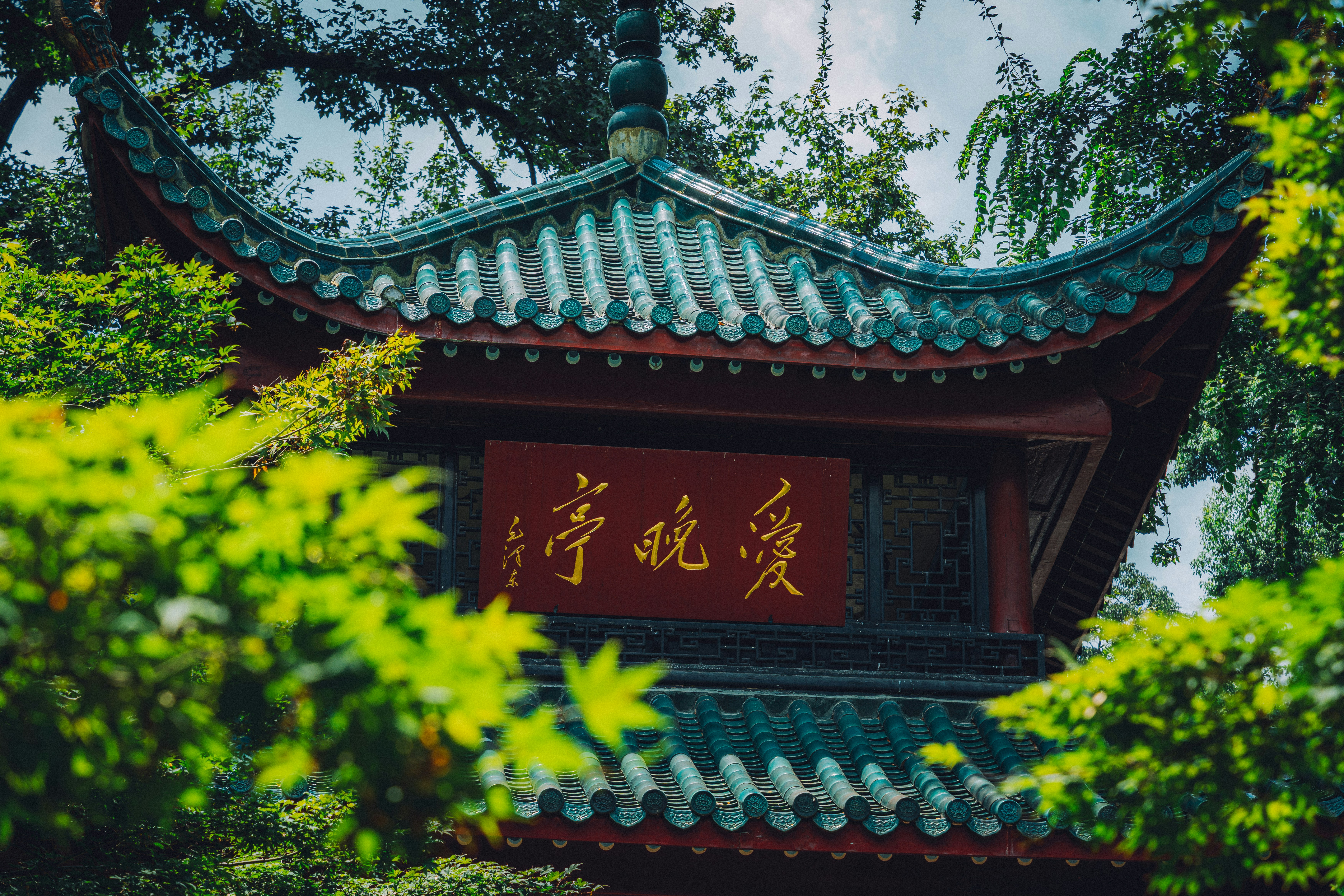 Photo by plasticine66