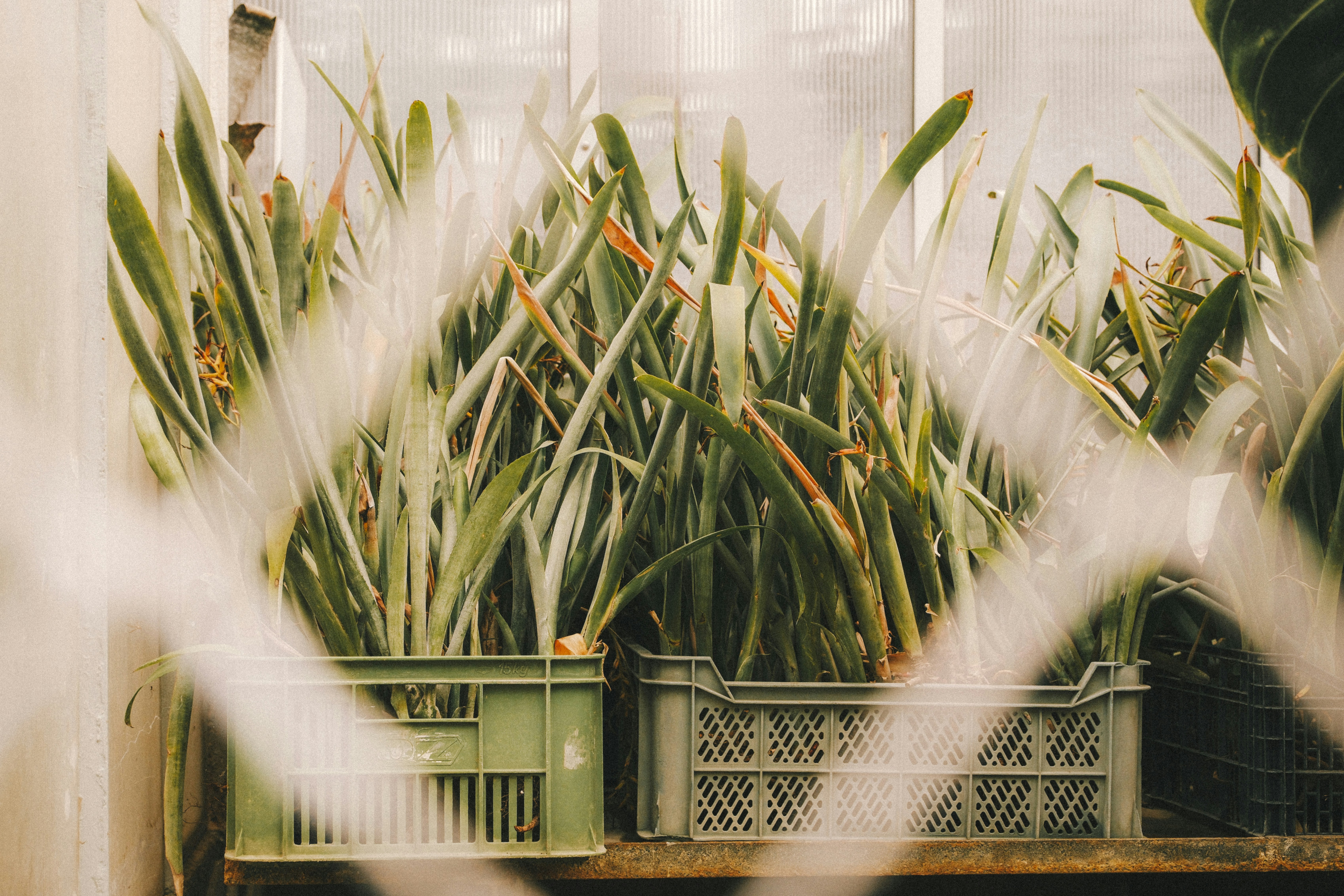 Photo by attic_in_my_mind