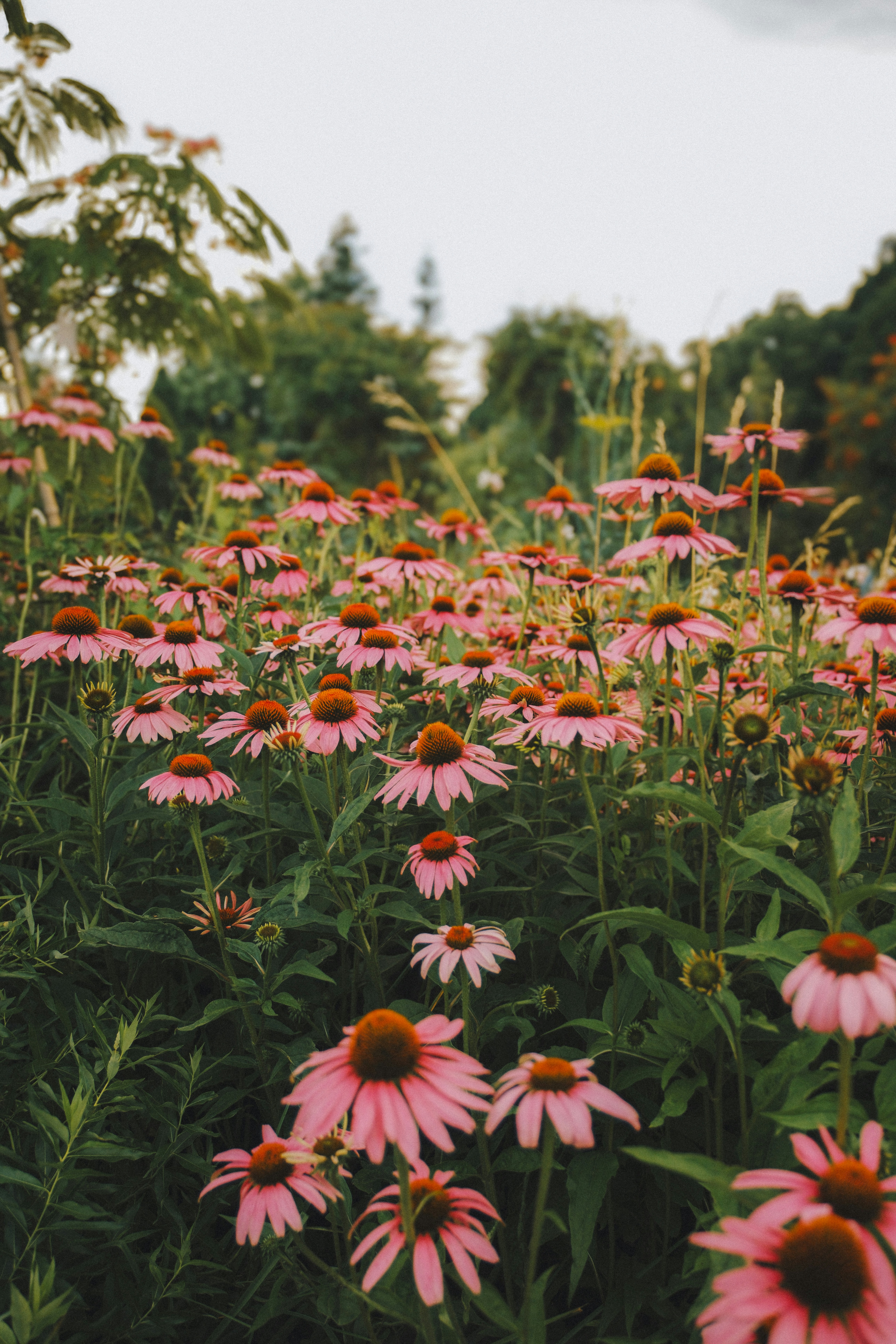 Photo by attic_in_my_mind