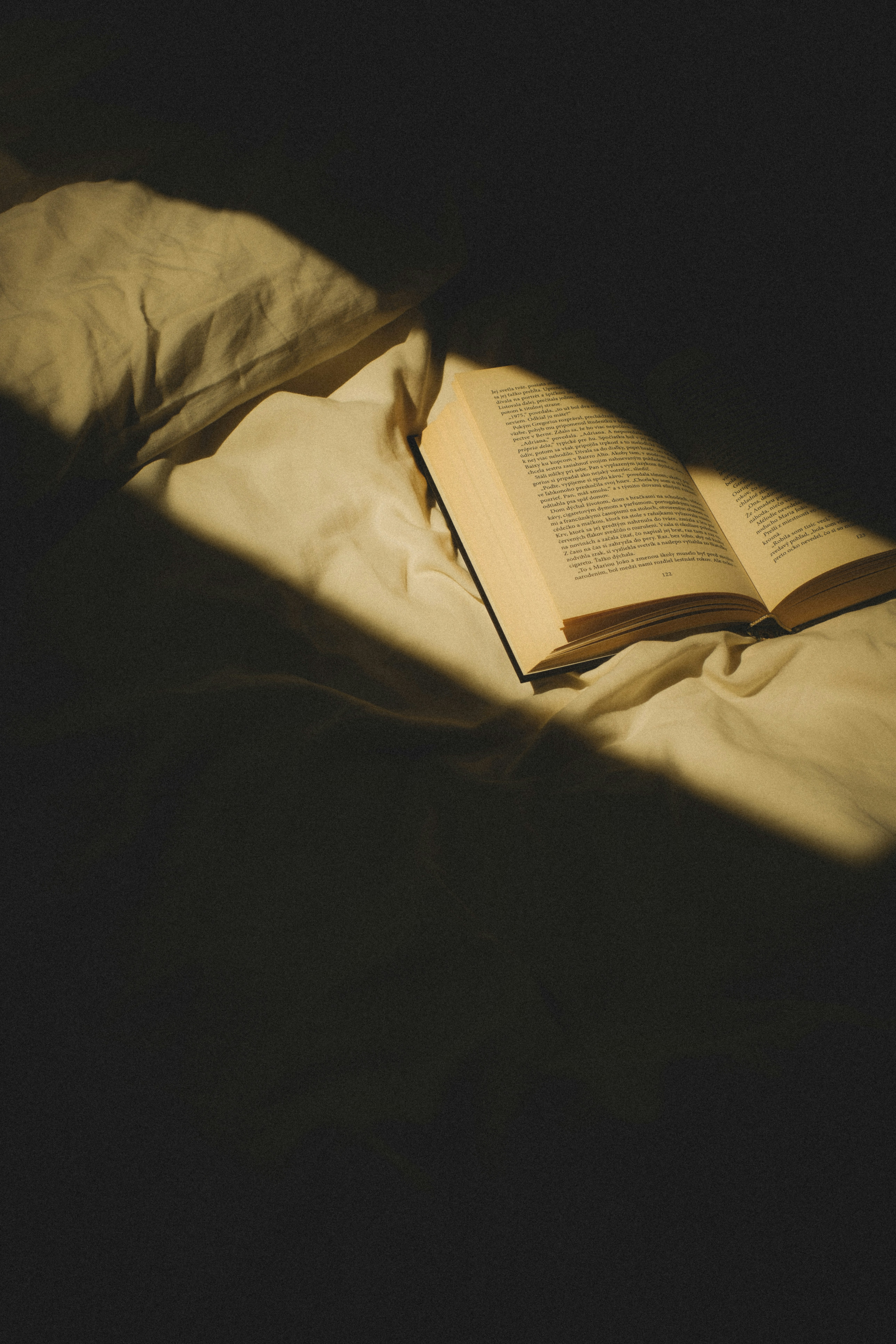 Photo by attic_in_my_mind