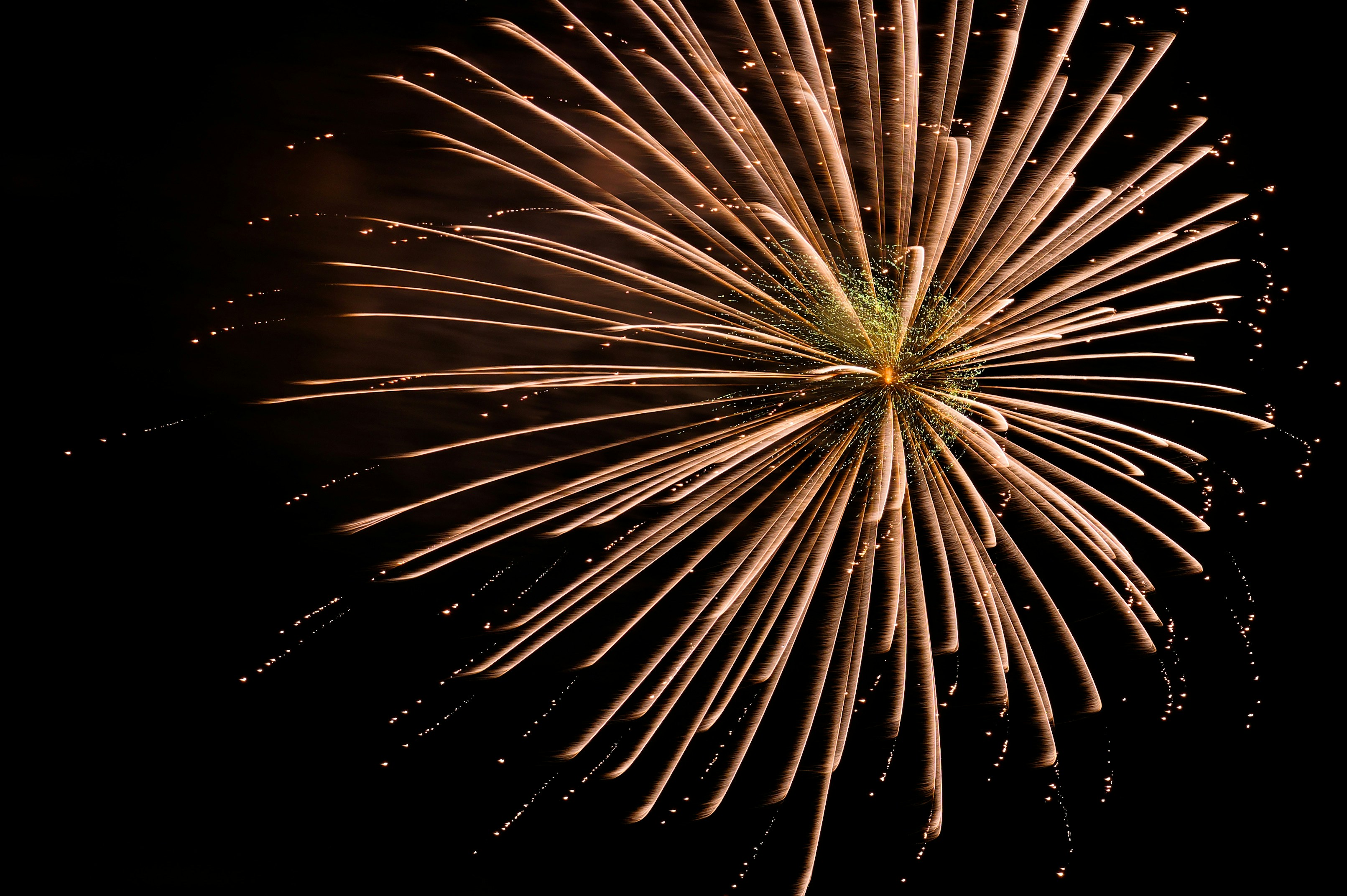 A fireworks display bursts in the dark sky.