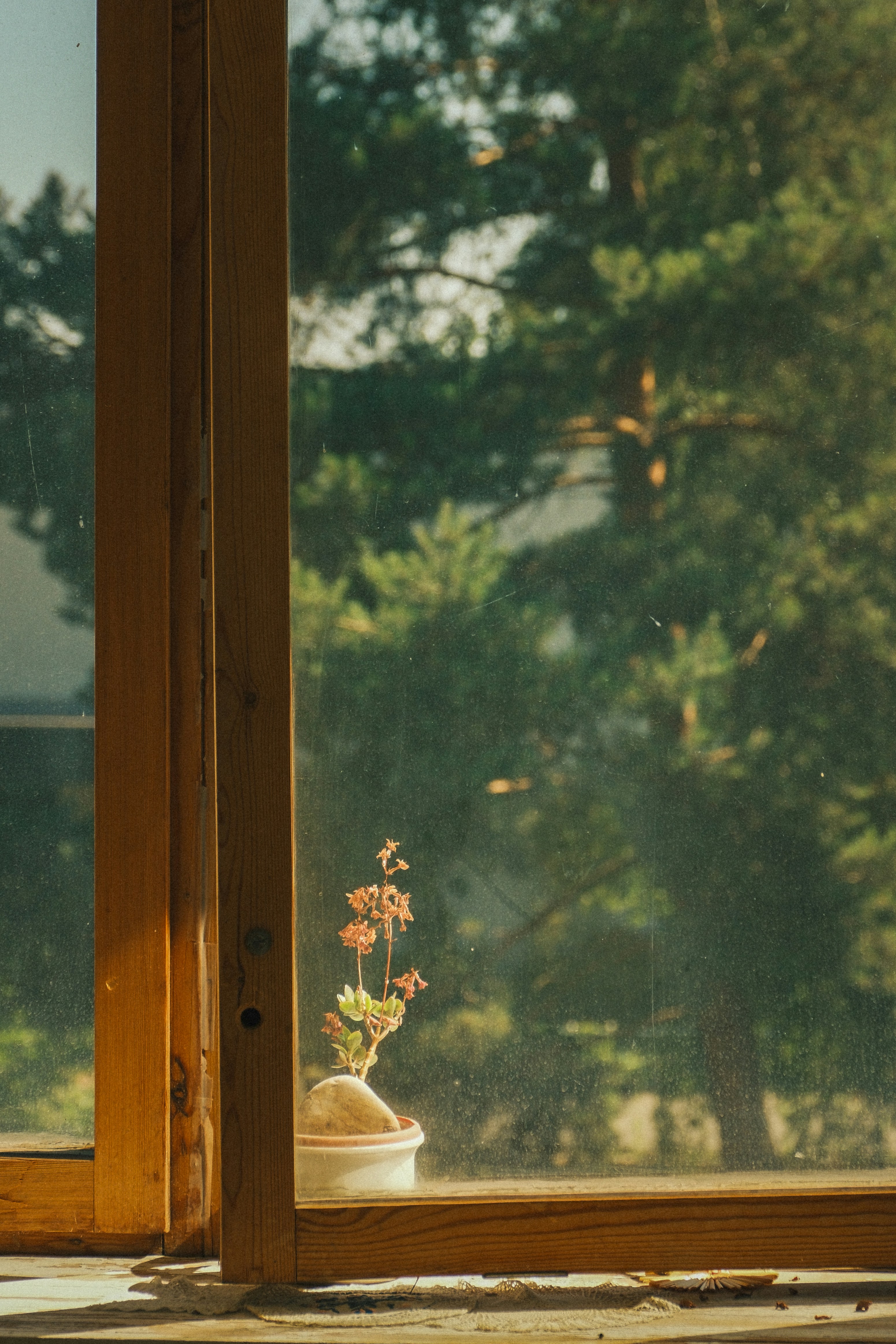 Photo by attic_in_my_mind