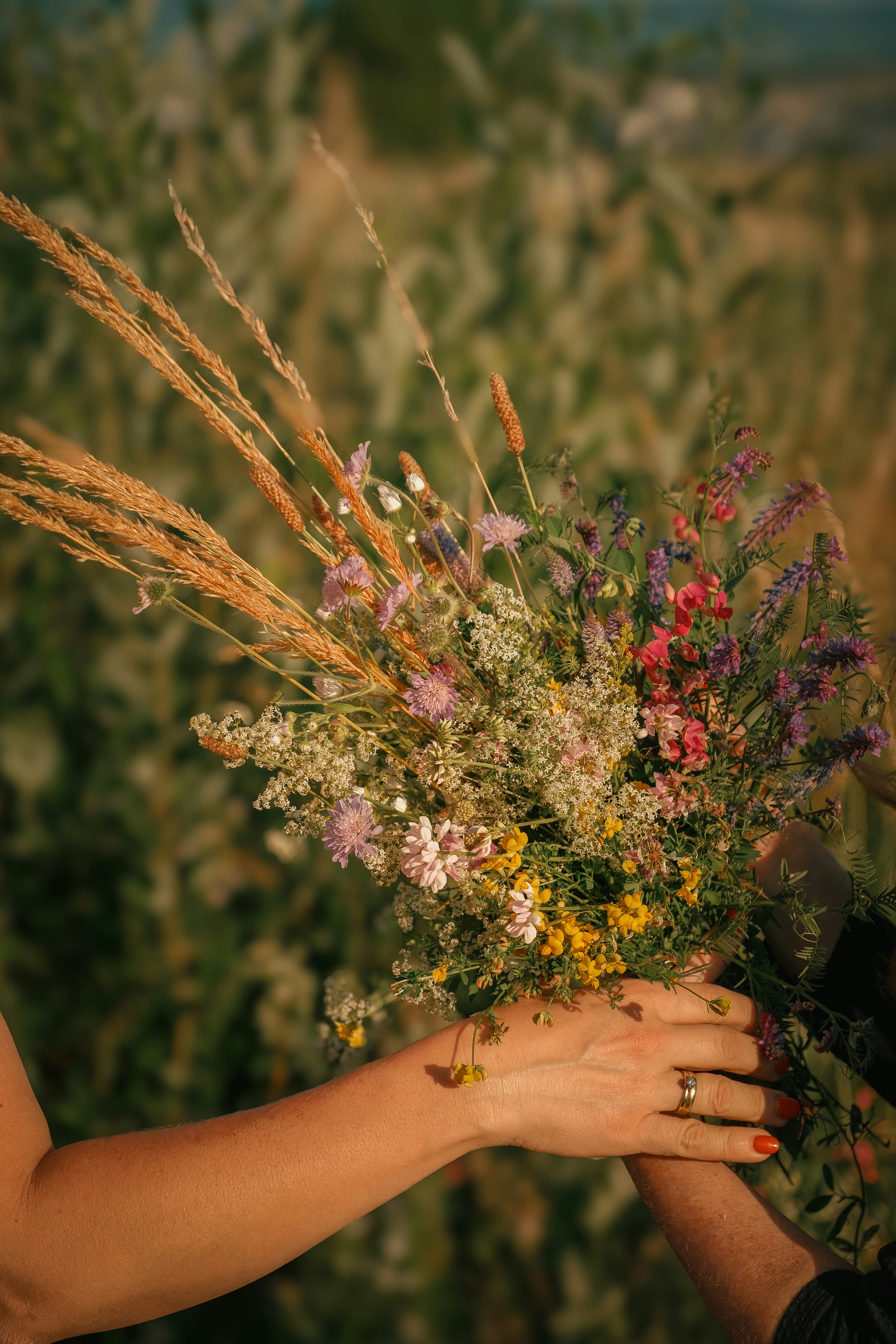 Photo by attic_in_my_mind