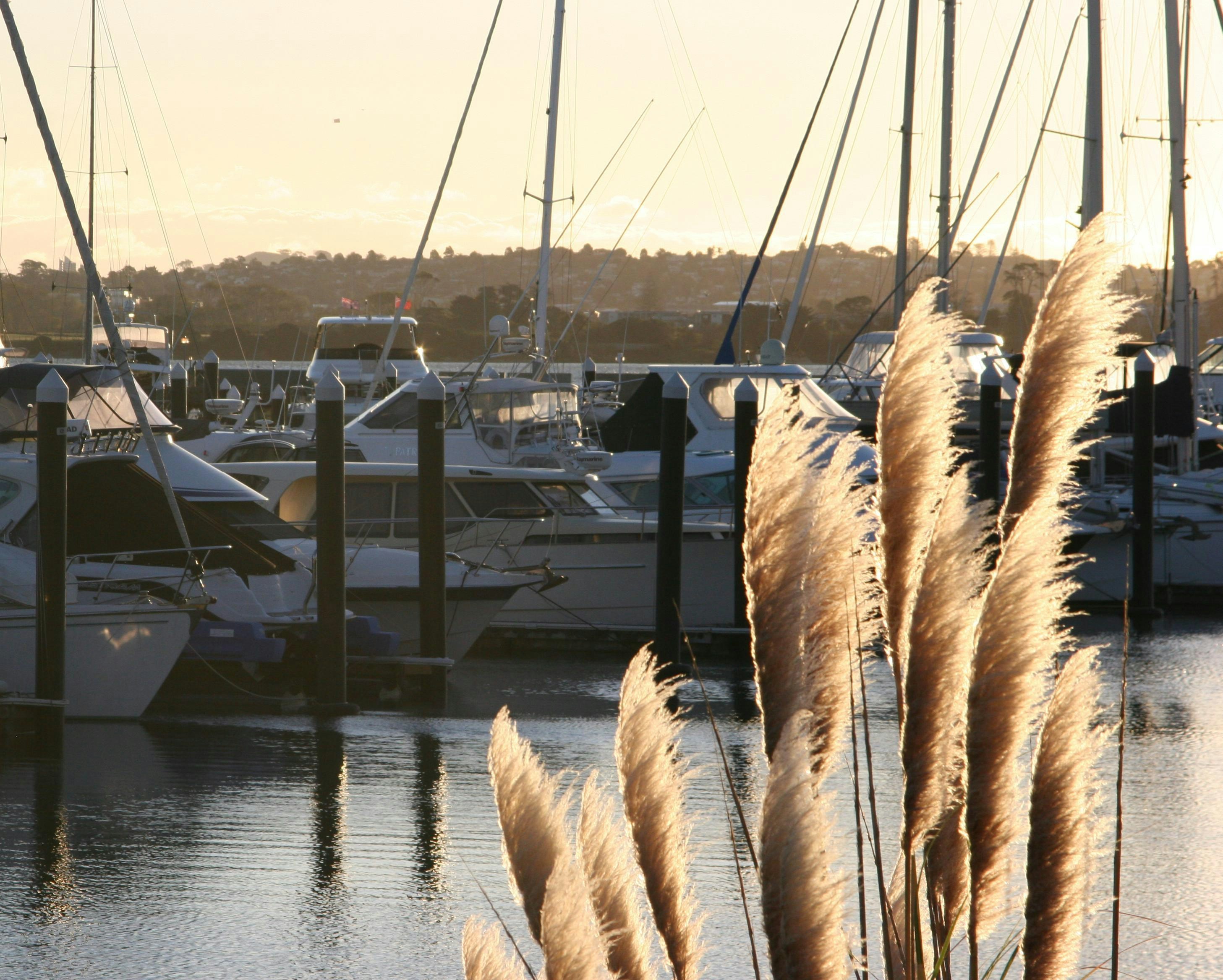 Photo by sophiejane17