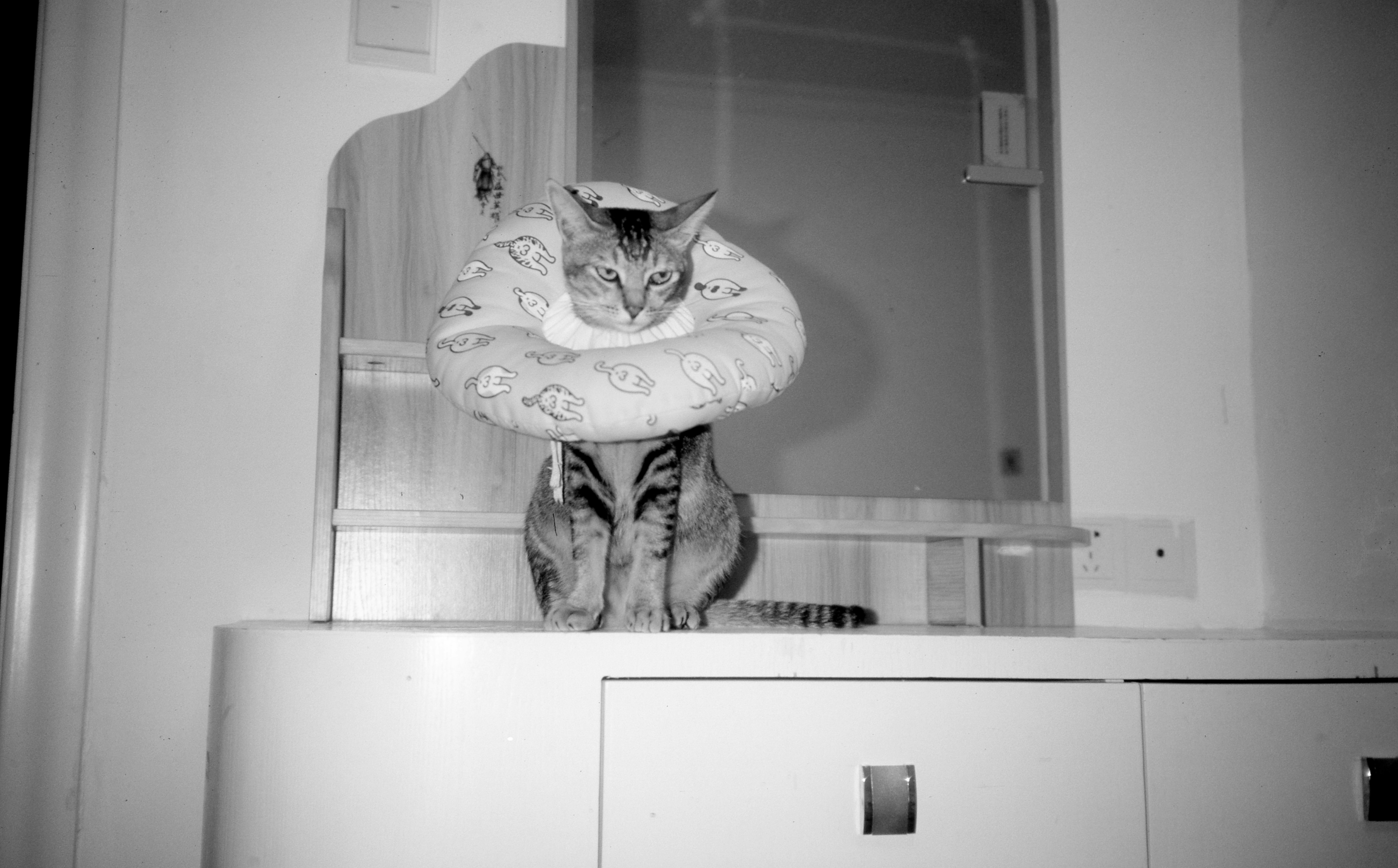 บาคาร่า ค่าย sa จ่ายหนักจ่ายจริง ไม่ผ่านเอเย่นต์