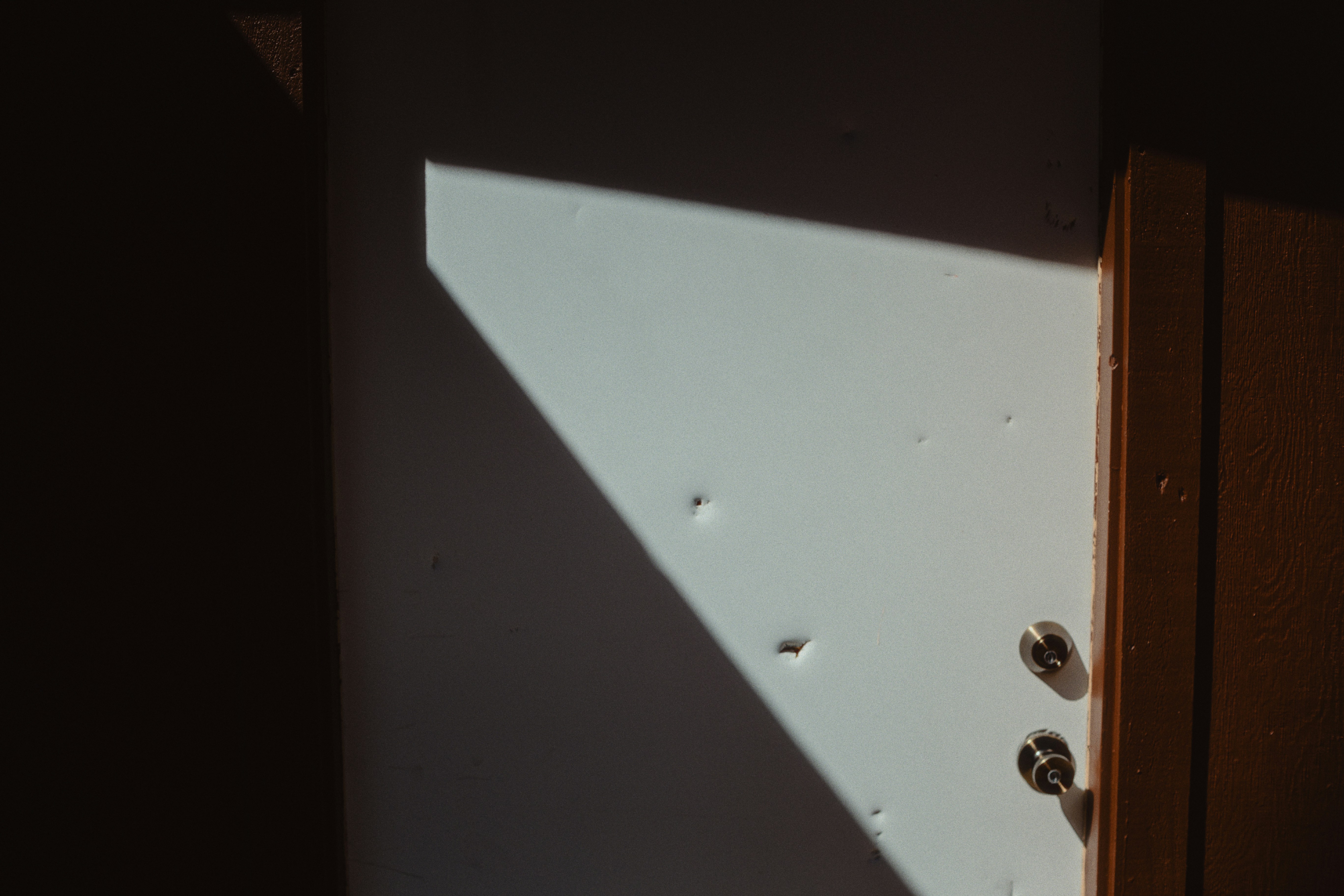 Shadows and light play on a textured white wall.