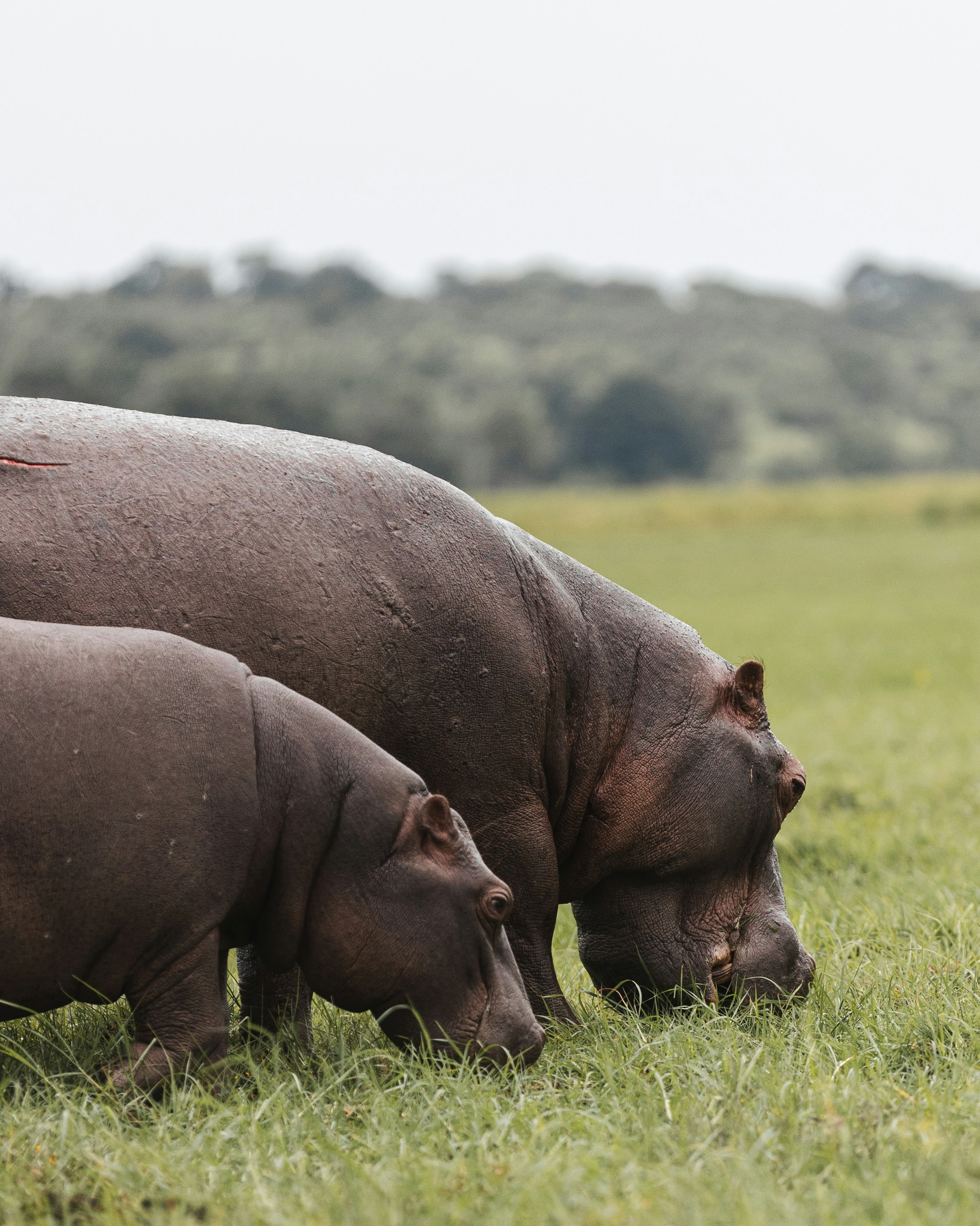 Photo by lastmanpaul