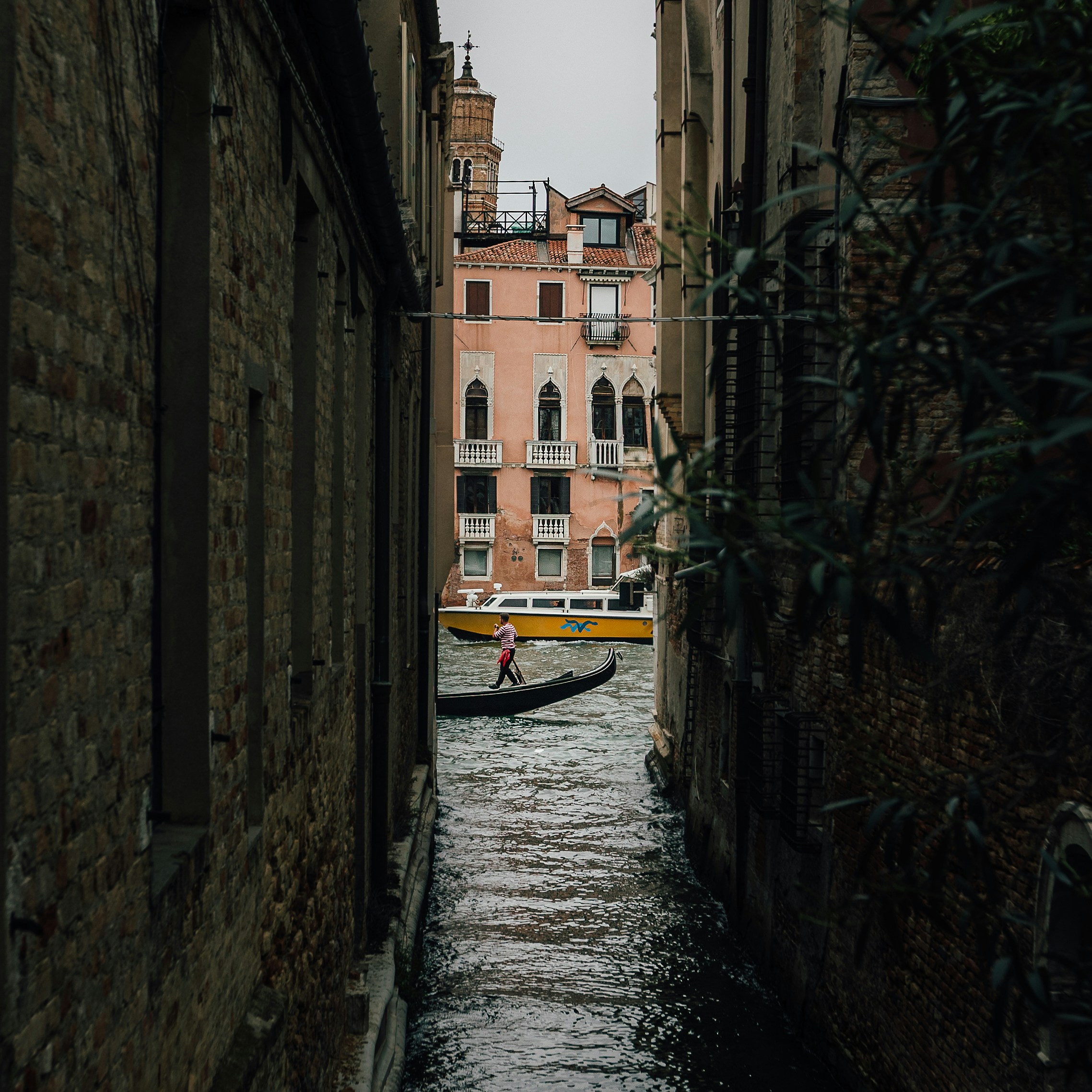 Photo by lastmanpaul