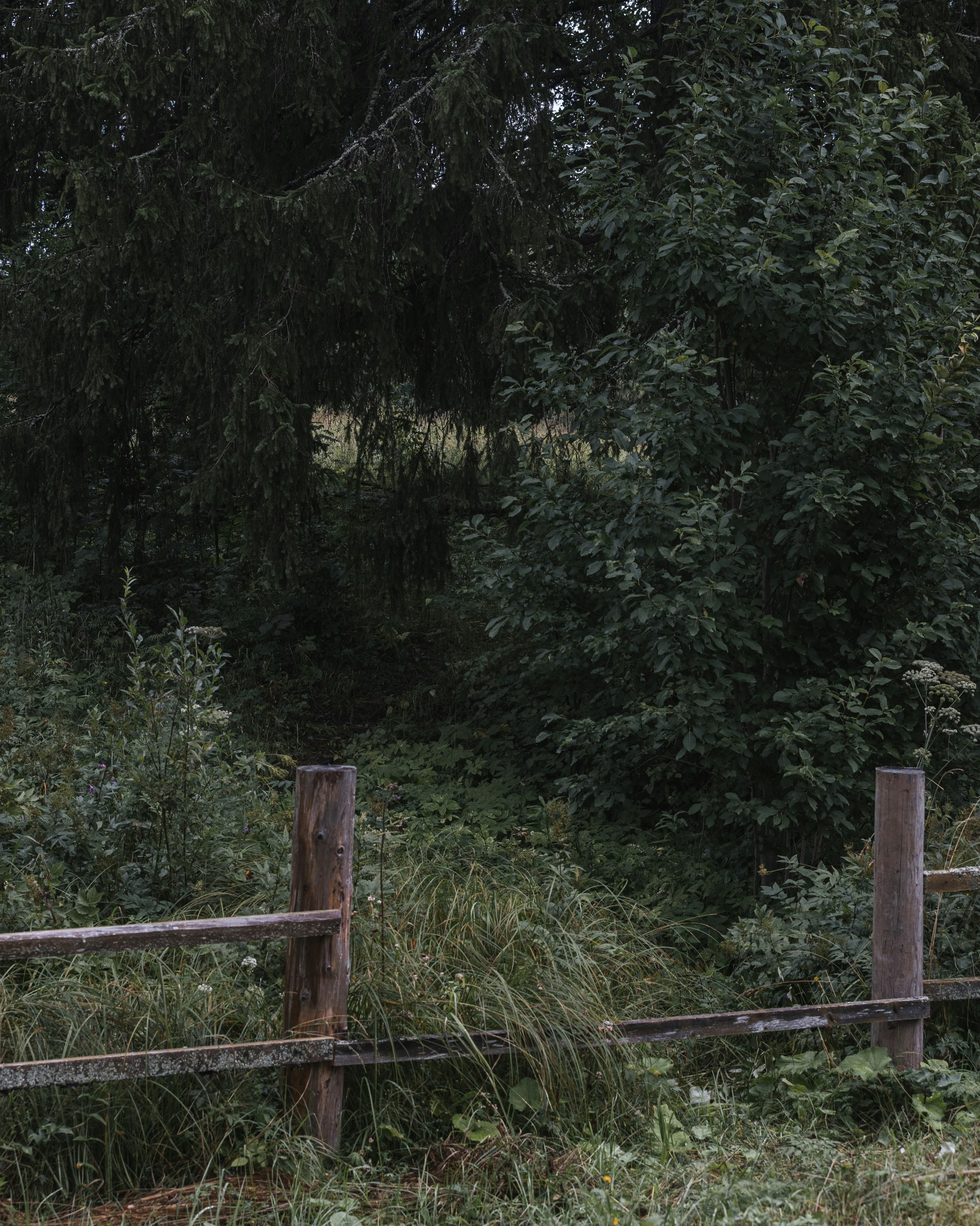 Photo by lastmanpaul